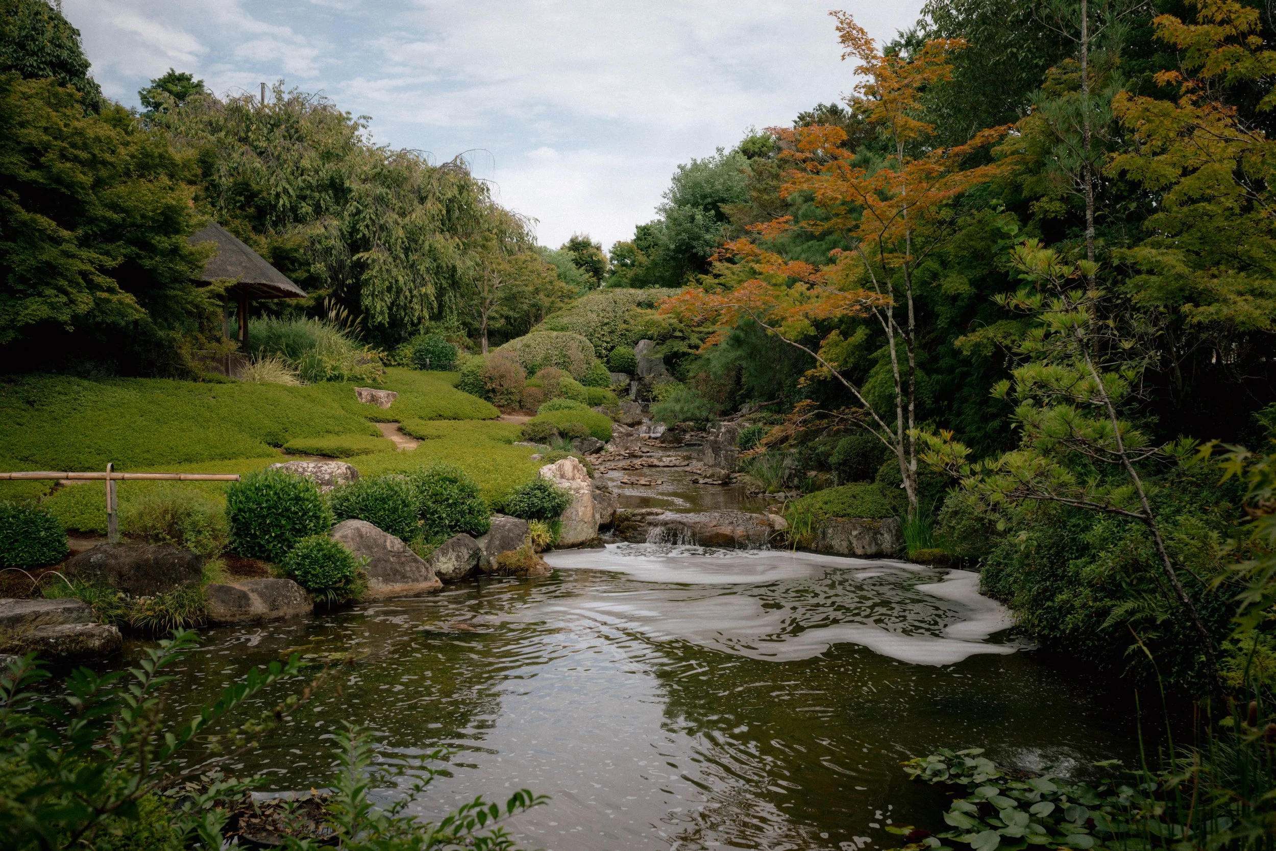 R0000932.jpg