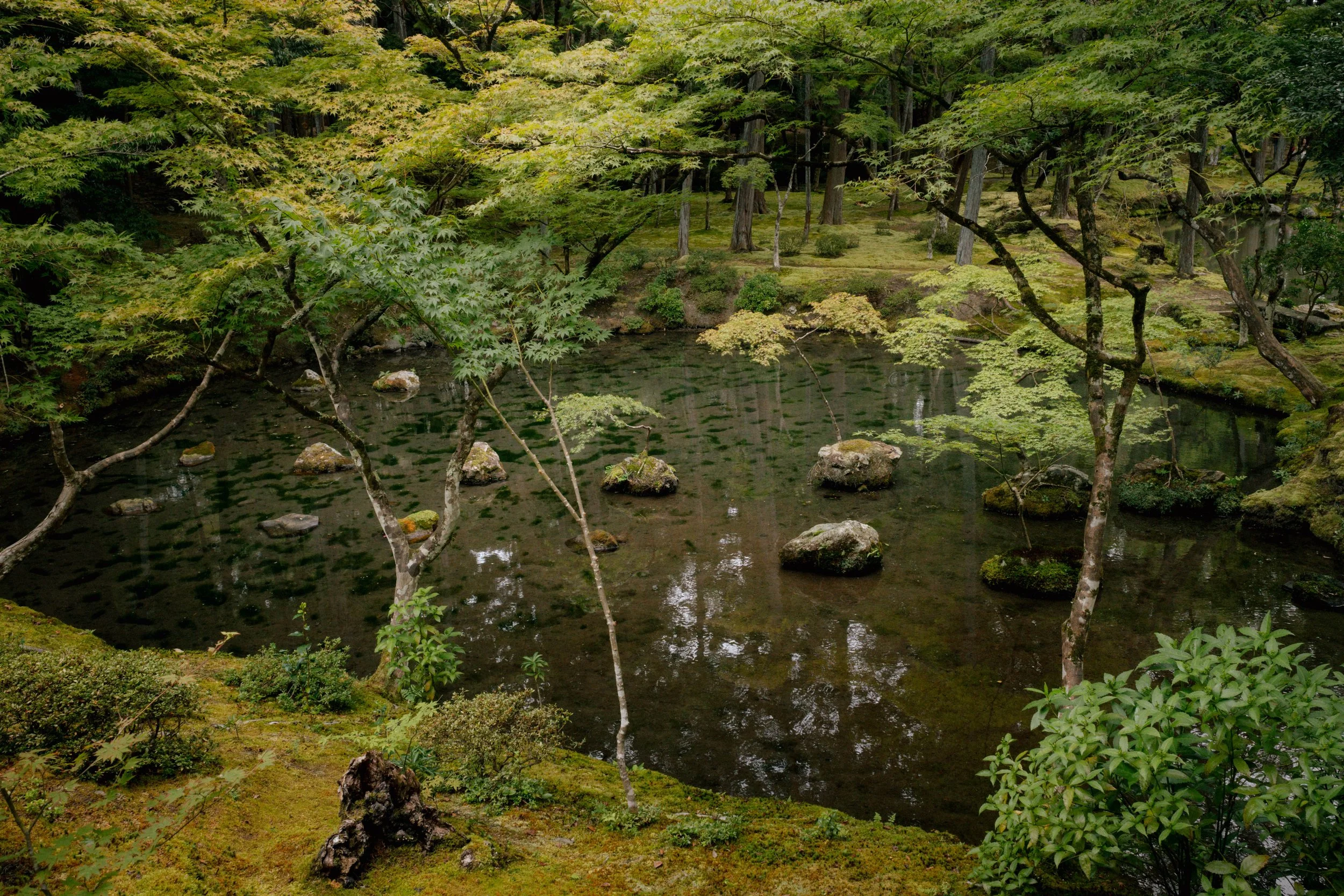 R0001107.jpg