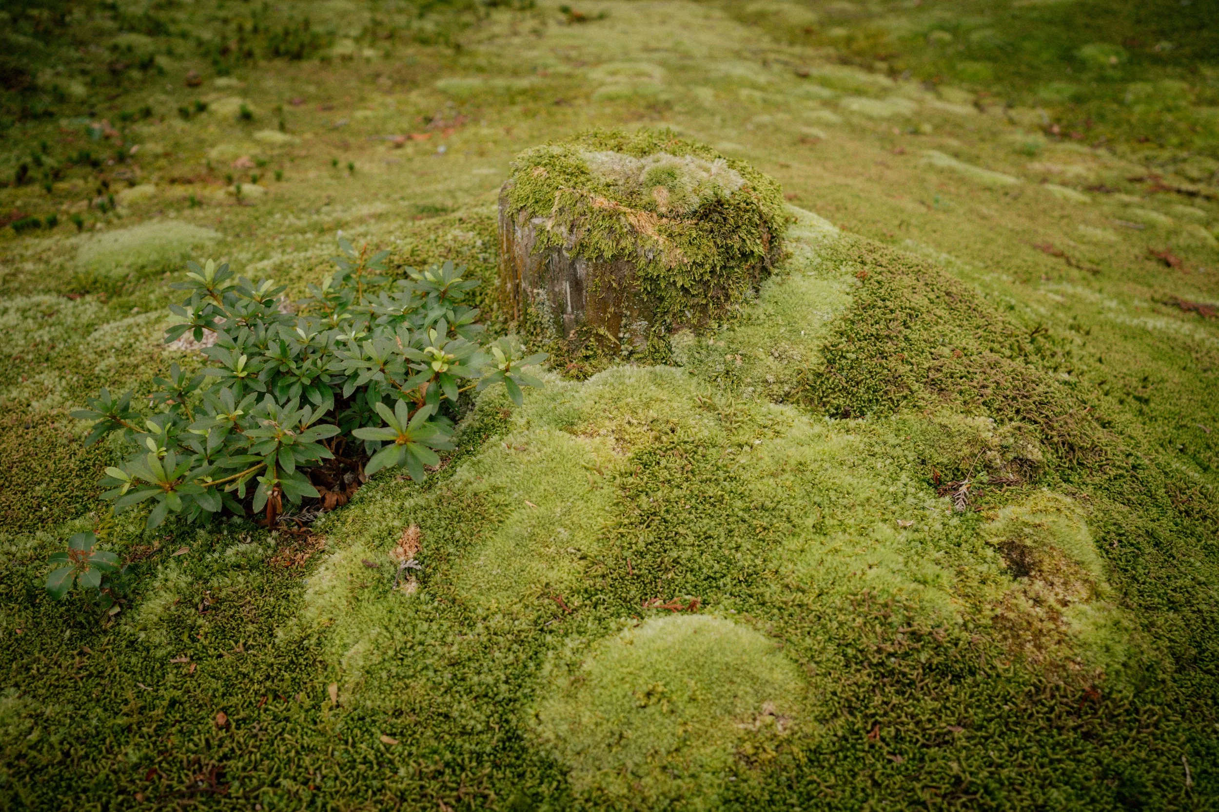 R0001141.jpg