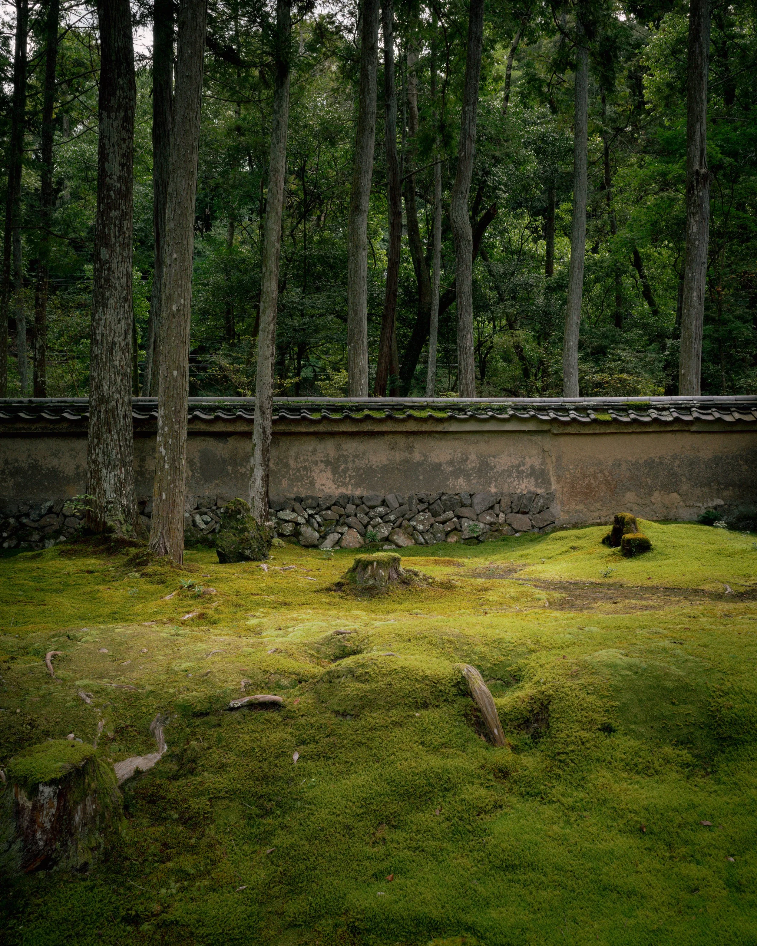 R0001160.jpg