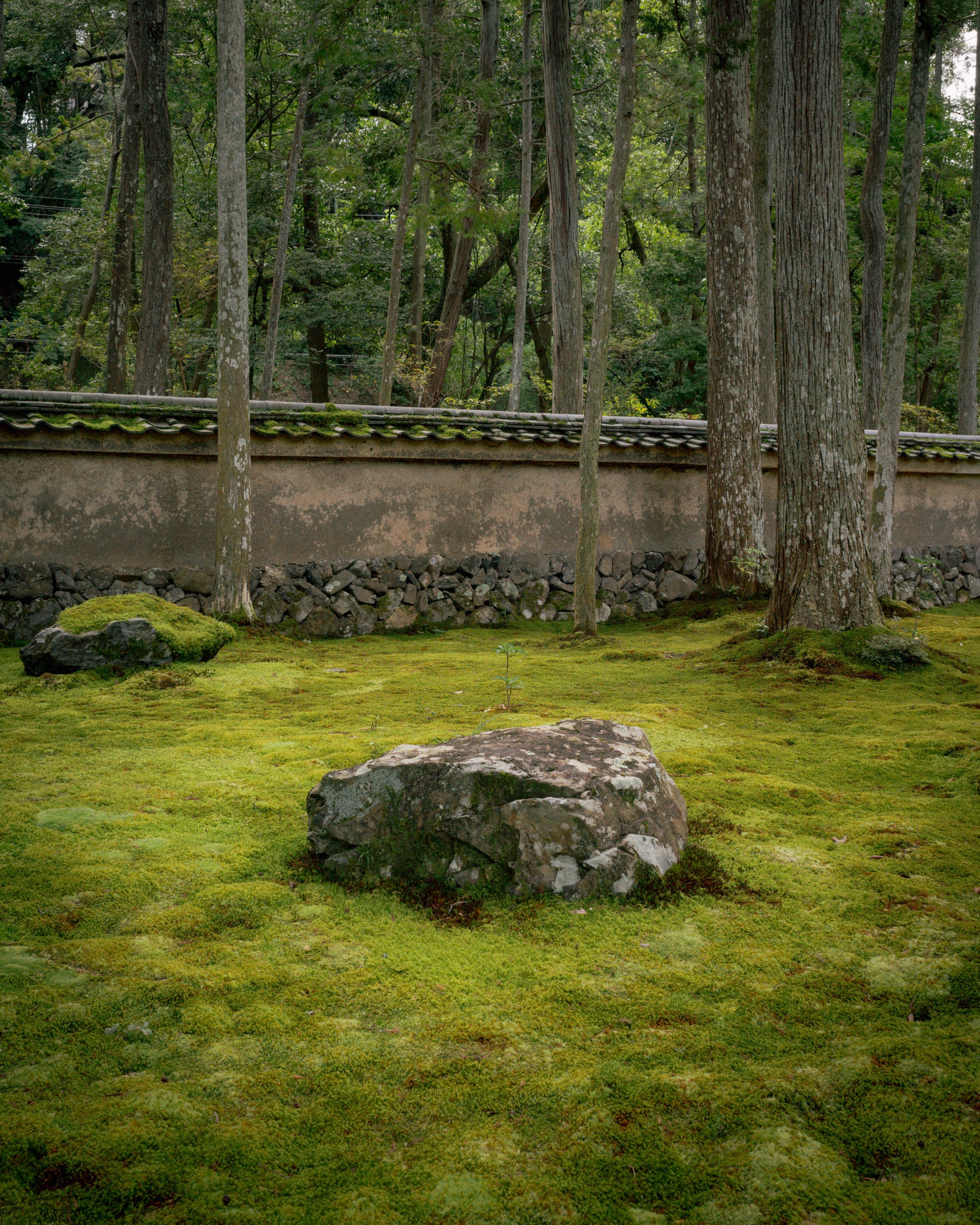 R0001166.jpg
