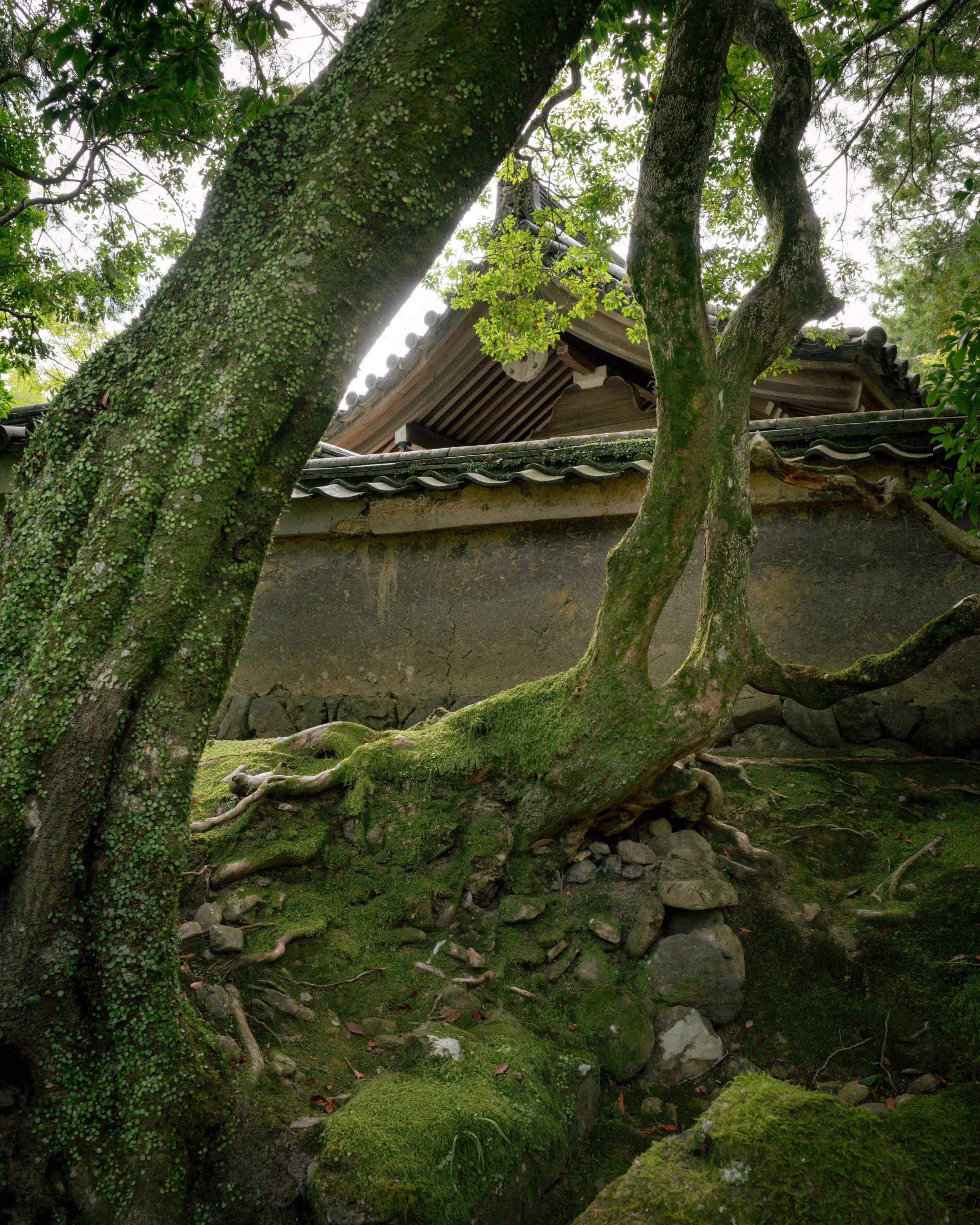 R0001176.jpg
