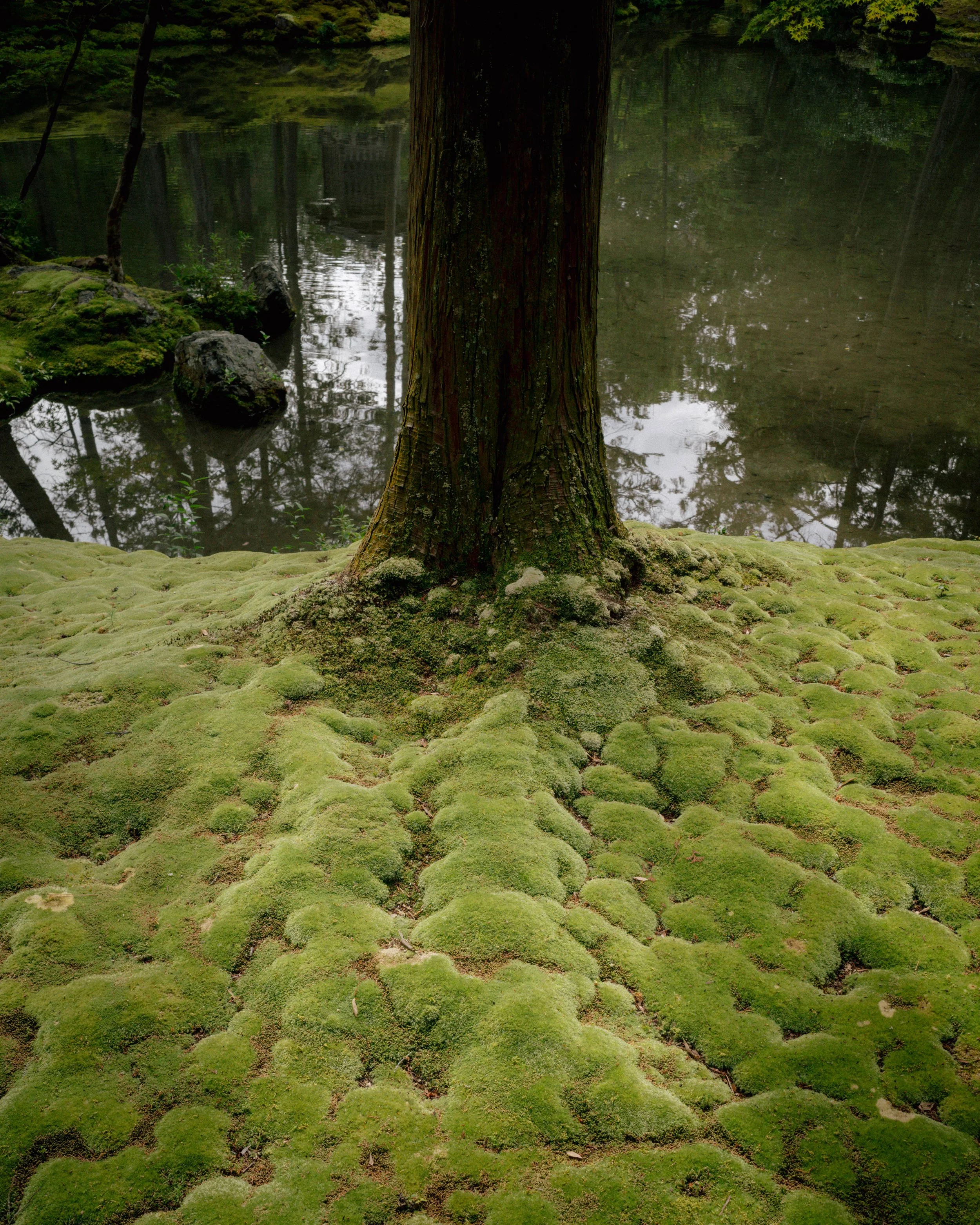R0001200.jpg