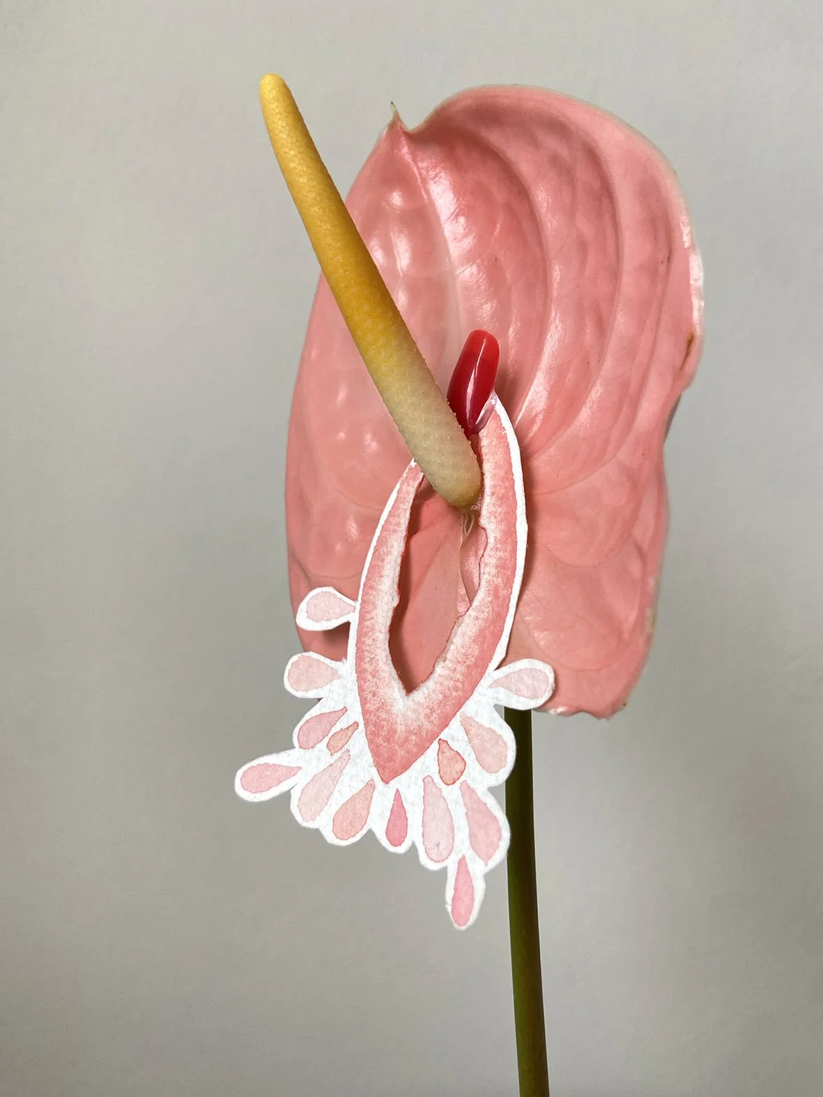 Finger, 2025. Watercolour drawing, anthurium flower, fake nail, vase. 5cm x 8cm approx.