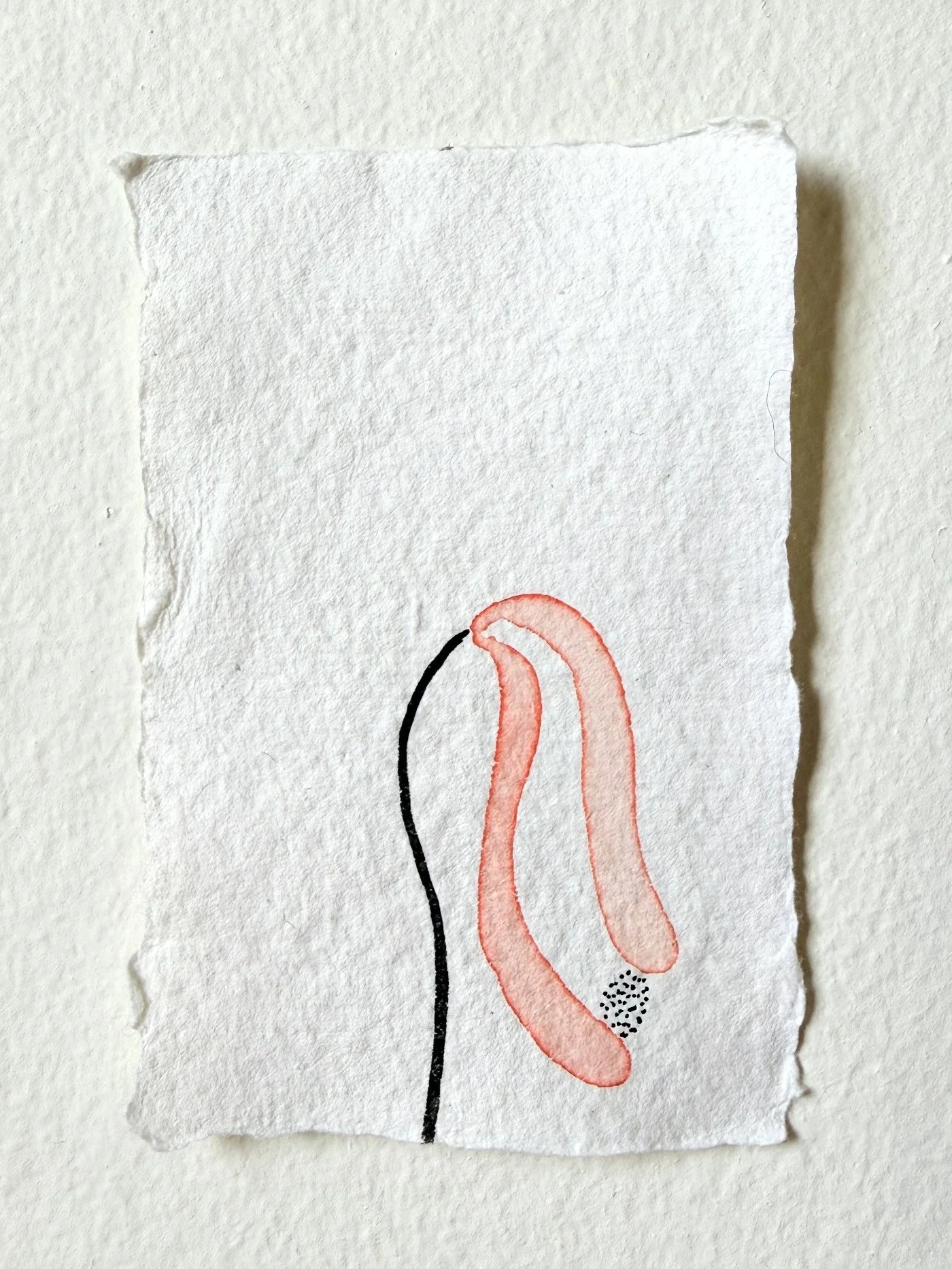 IMG_0677_centred.jpg