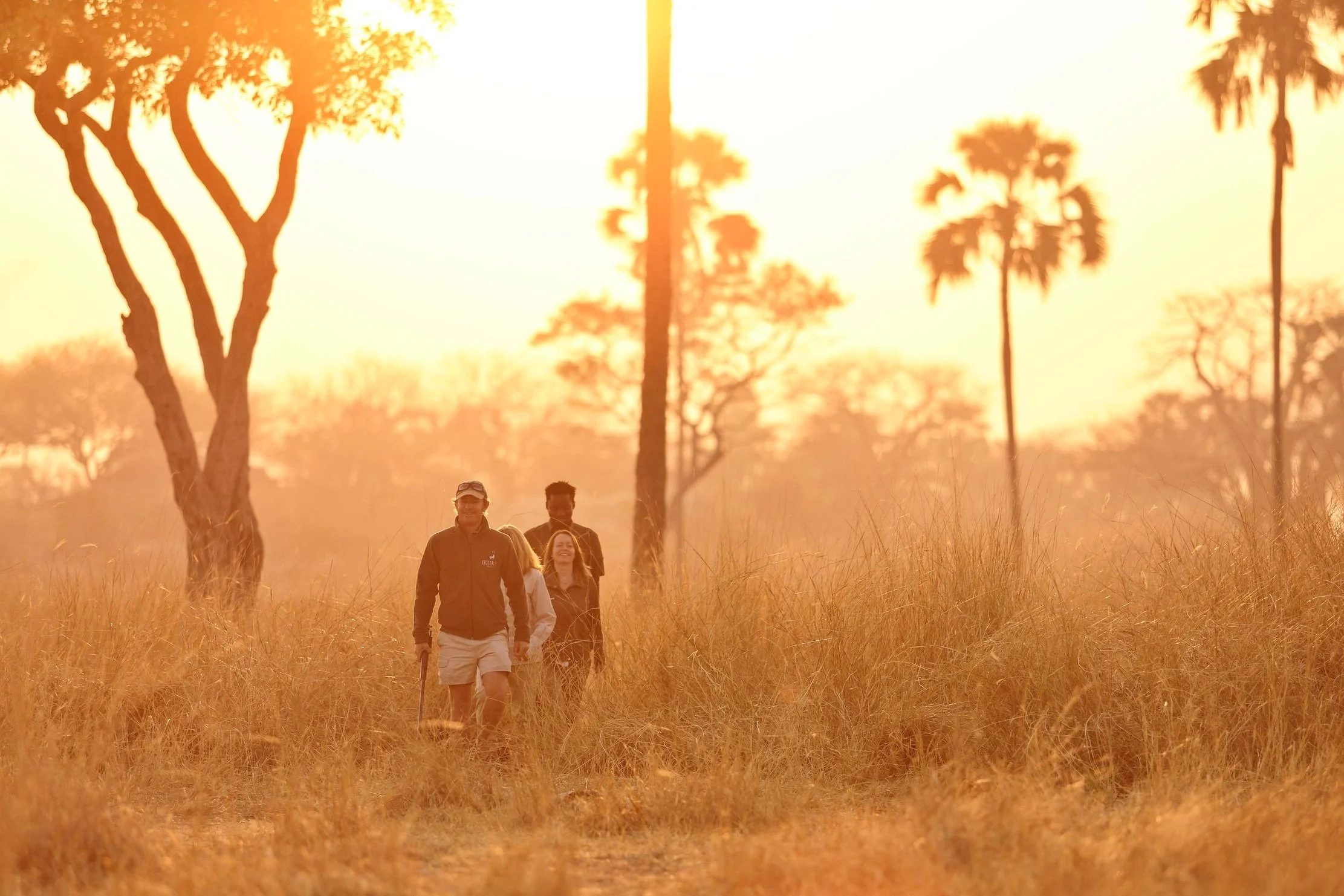 Walking safari Ikuka Safari Camp Ruaha