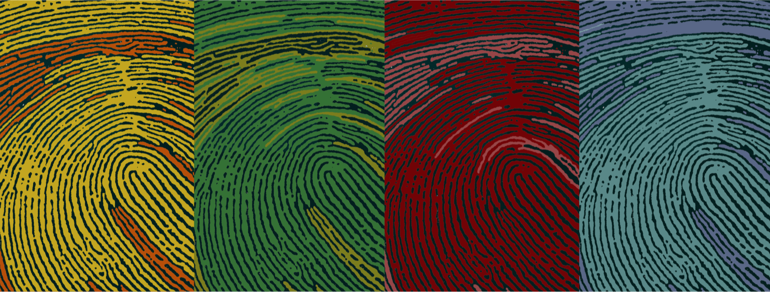 Criminal Defense — Elizabeth Grossman Law