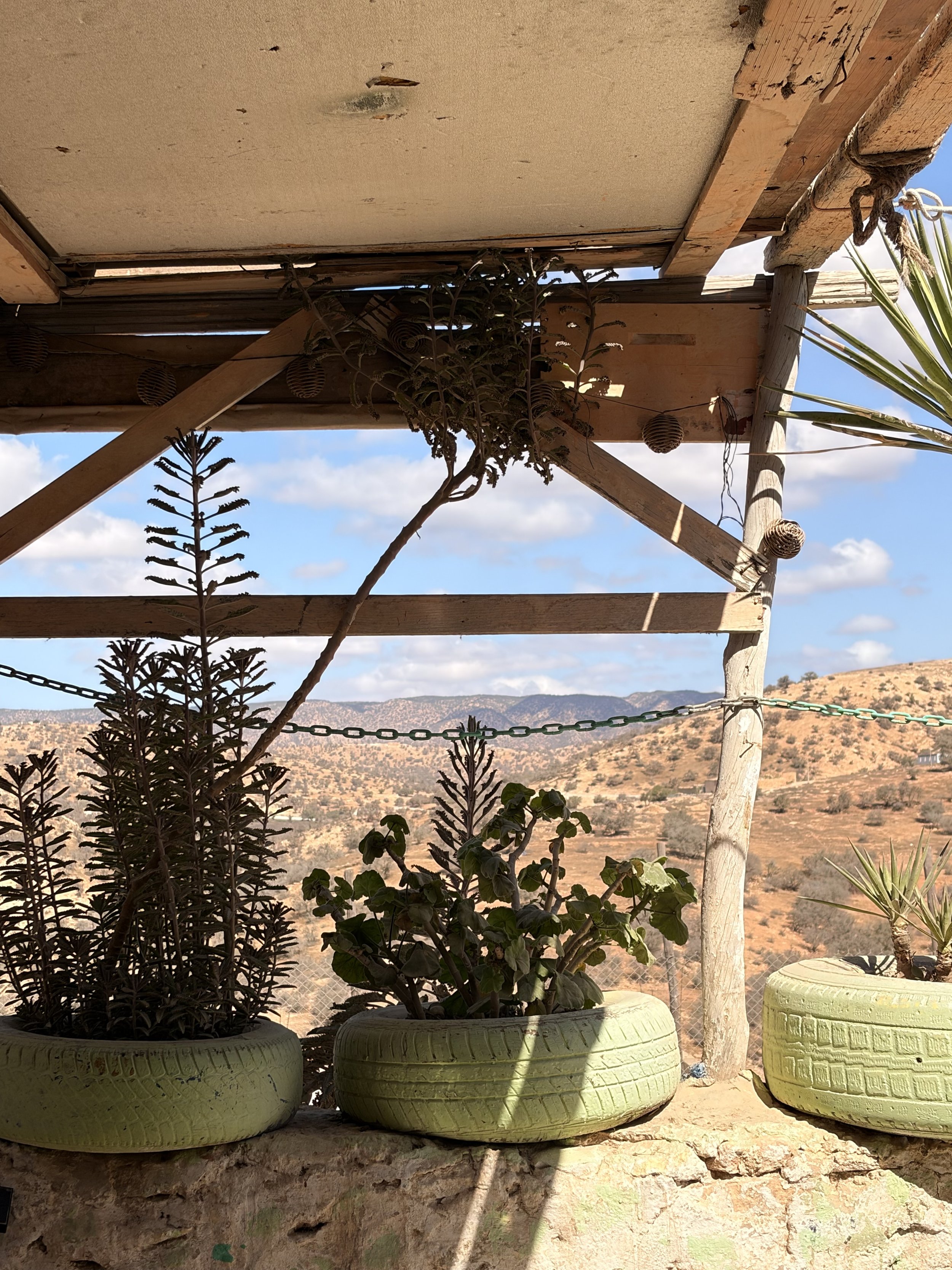 IMG_8973.jpeg