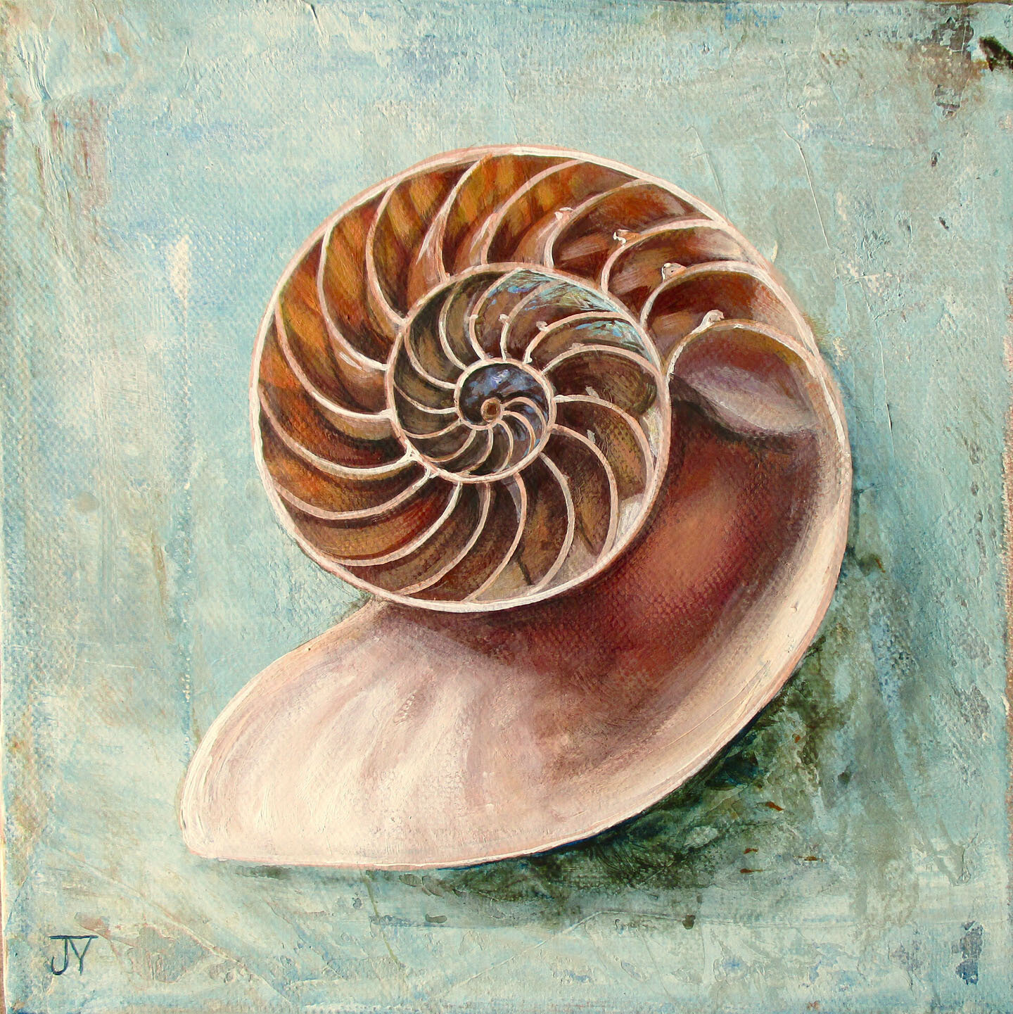 Sea Spiral 