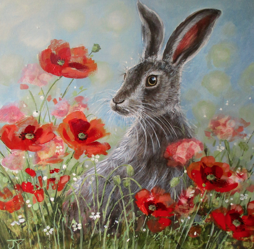 Poppy Field Hare 