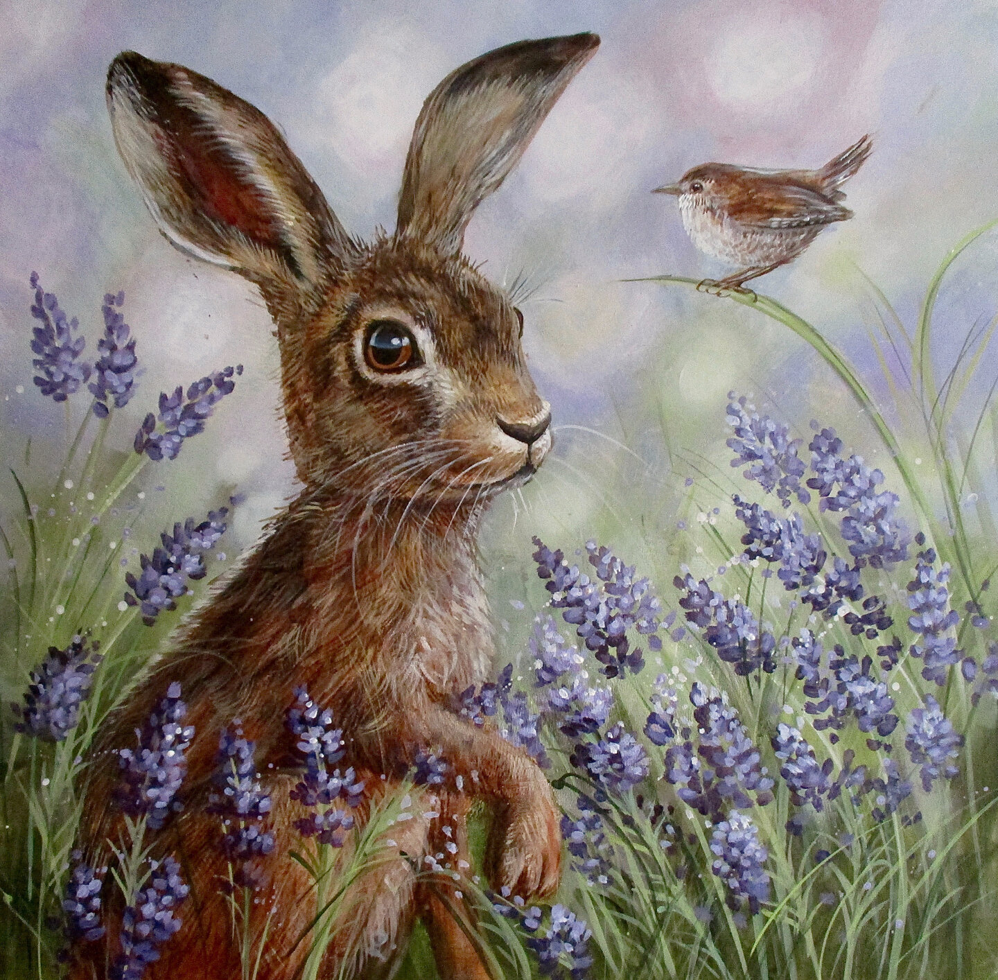 Lavender Hare 