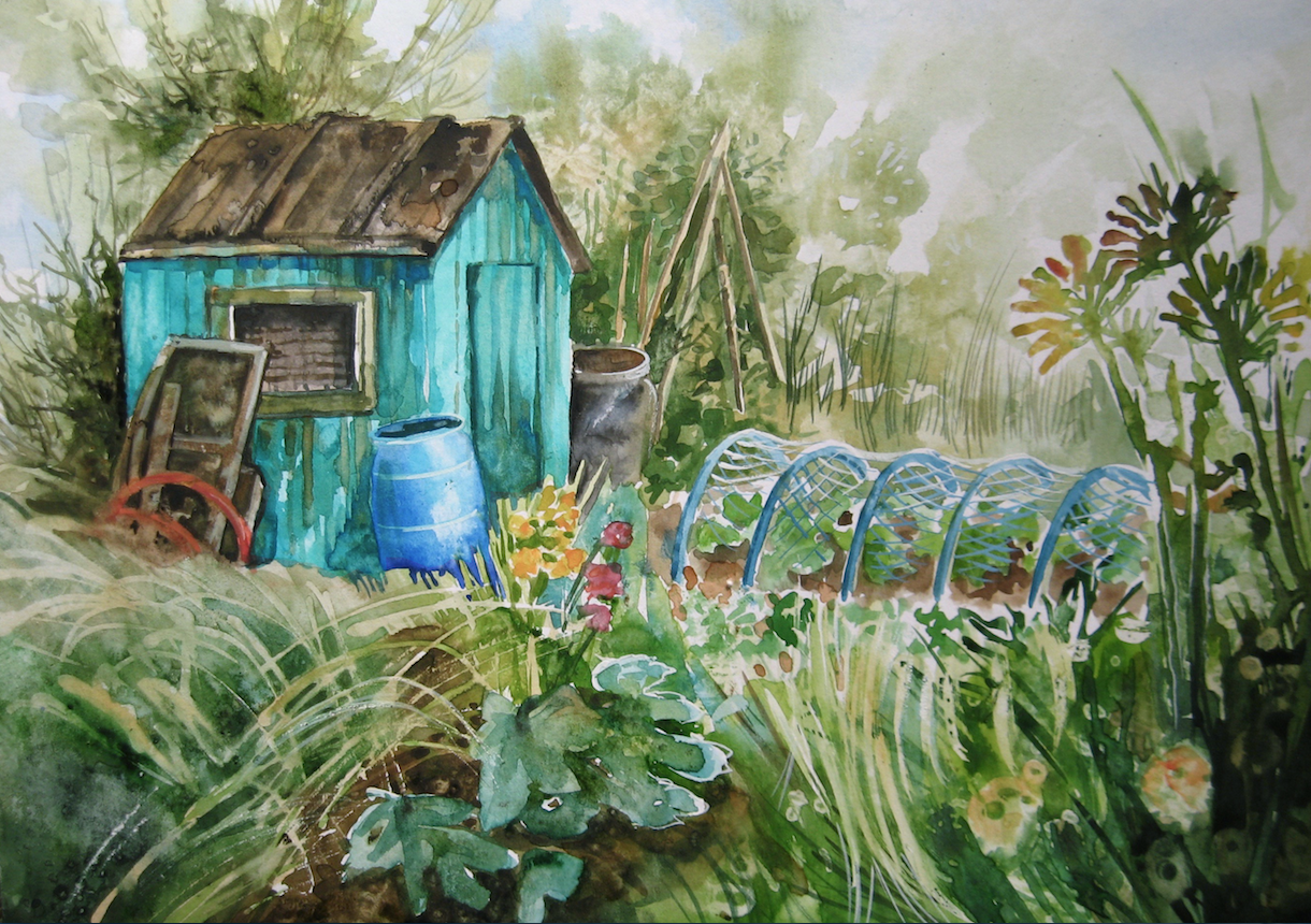 Green Tin Shed