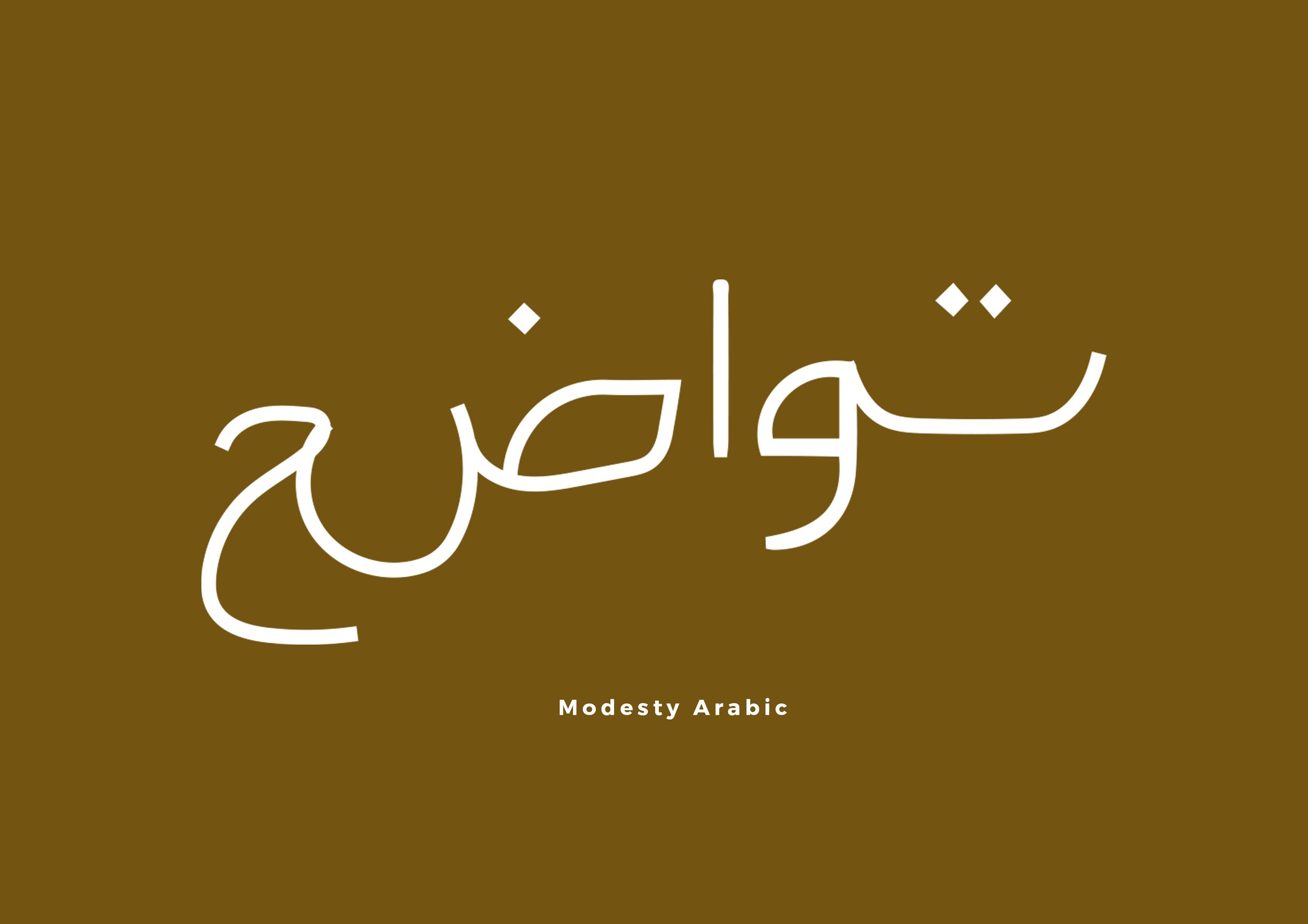 modesty title page.jpg