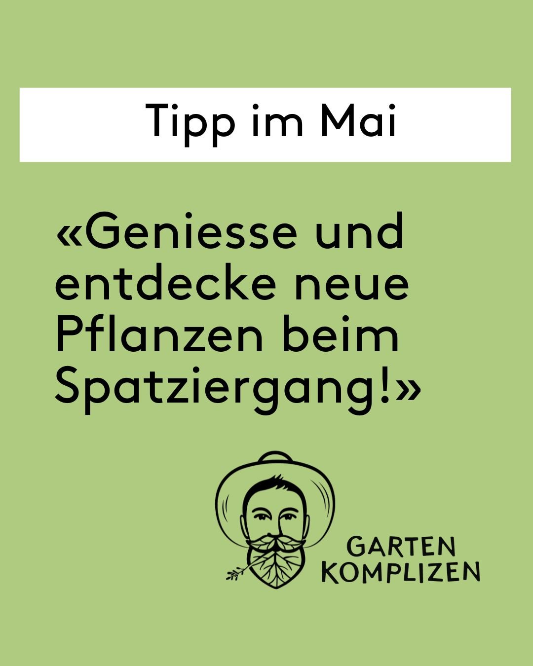 Der Mai gilt als der eindrucksvollste Monat f&uuml;r die Bl&uuml;tenvielfalt. 🌸🌿 In dieser Zeit erreichen Blumenwiesen ihre volle Pracht. 🌾🌼 Spazierg&auml;nge entlang von Gew&auml;ssern sind von dem intensiven, aber angenehmen Duft der Traubenkir