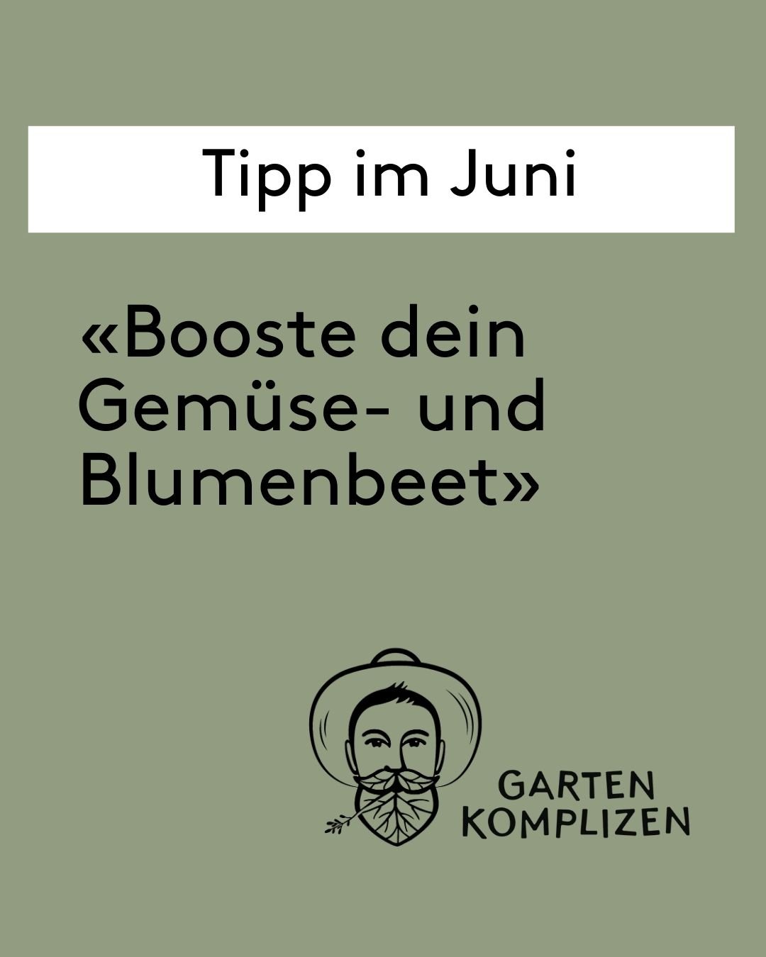 Nat&uuml;rlicher D&uuml;nger mit Power: Brennnesseljauche
Brennnesseljauche ist ein echter Booster f&uuml;r dein Gem&uuml;se- und Blumenbeet.🌸 Sie enth&auml;lt viel Stickstoff, Eisen und Mineralien &ndash; ideal, um das Wachstum deiner Pflanzen auf 