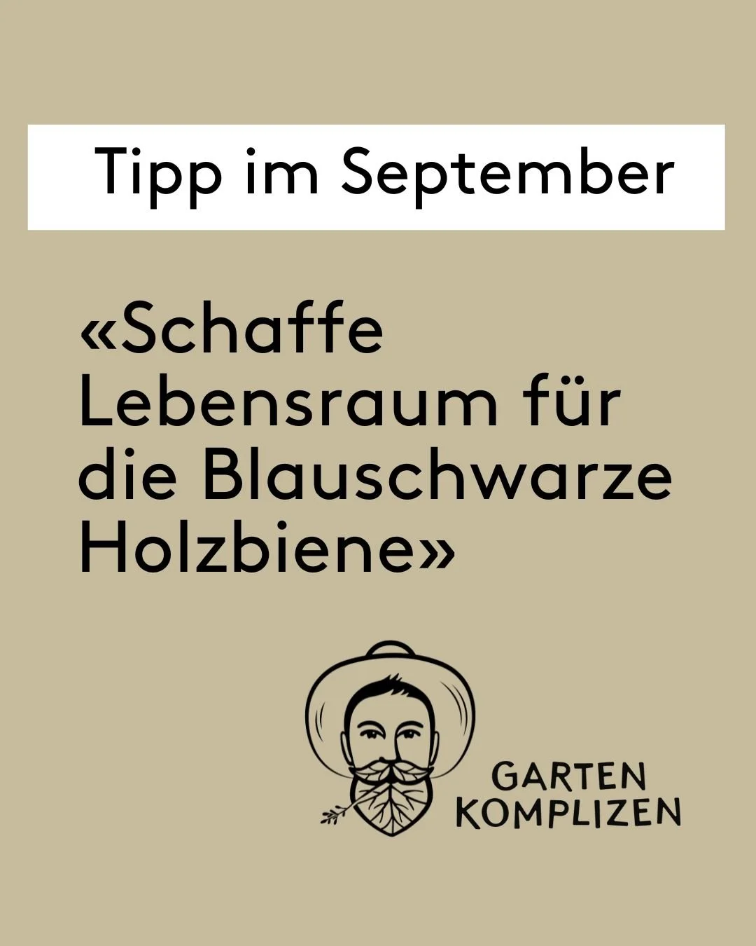 Schaffe Lebensraum f&uuml;r die Blauschwarze Holzbiene:🐝
Lass morsches Totholz stehen.
Wenn du gr&ouml;ssere morsche Holzst&uuml;cke und &Auml;ste im Garten oder auf deinem Balkon stehen l&auml;sst, kannst du wahrscheinlich n&auml;chstes Jahr ab Apr