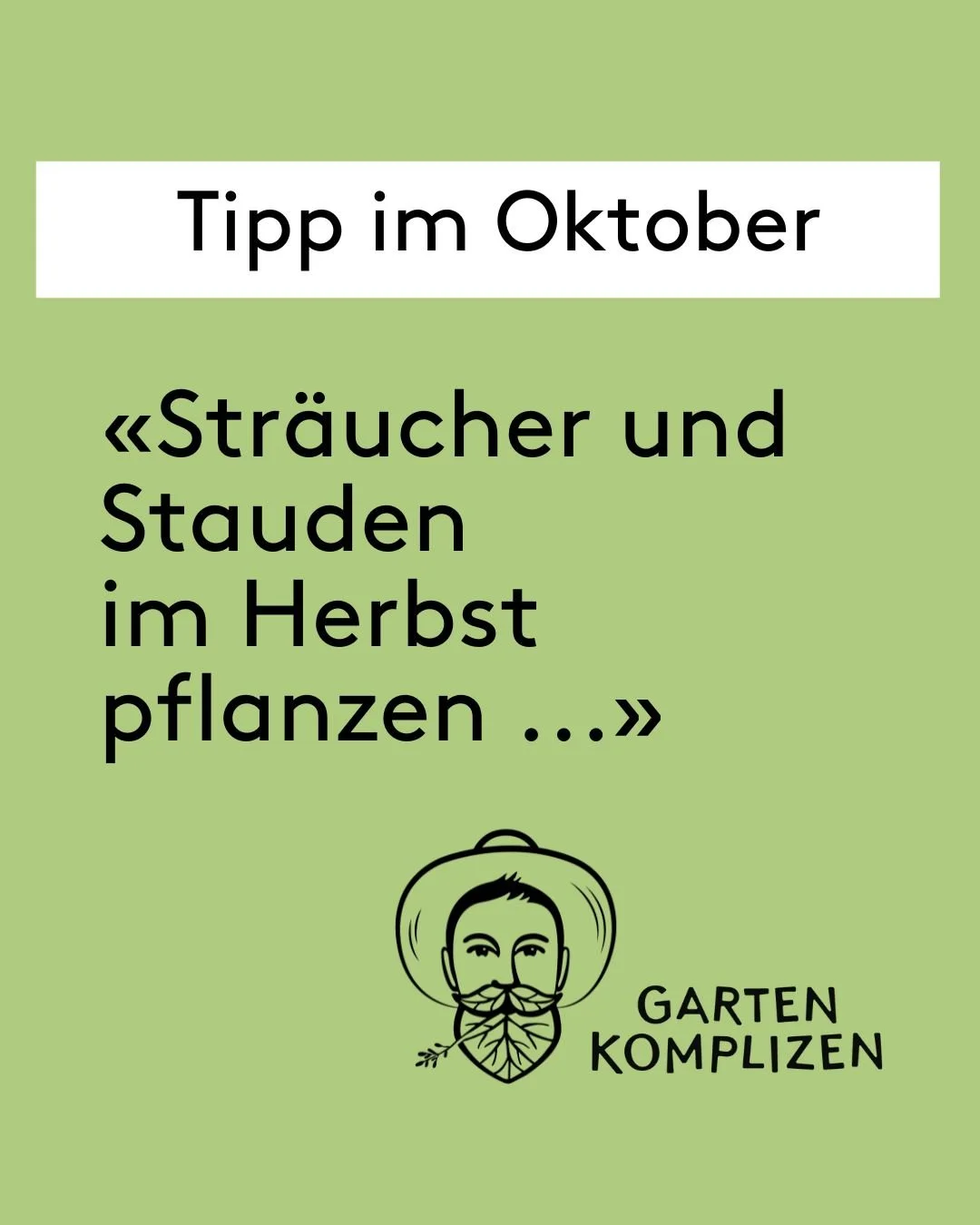 Der Herbst ist die ideale Zeit, um die meisten Str&auml;ucher und Stauden zu pflanzen🌳. In den kommenden Monaten haben sie ausreichend Gelegenheit, ihre Wurzeln zu entwickeln und sich fest im Boden zu verankern &ndash; noch bevor die heissen Sommert