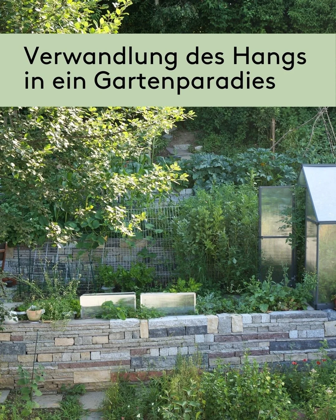 Gemeinsam mit unseren Kunden haben wir den einst steilen Hang in einen einladenden Gemüsegarten verwandelt🥬. Dabei haben wir aus alten Beton- und Natursteinen drei Trockenmauern errichtet, die den Hang stabilisieren und gleichzeitig seine Nutzu