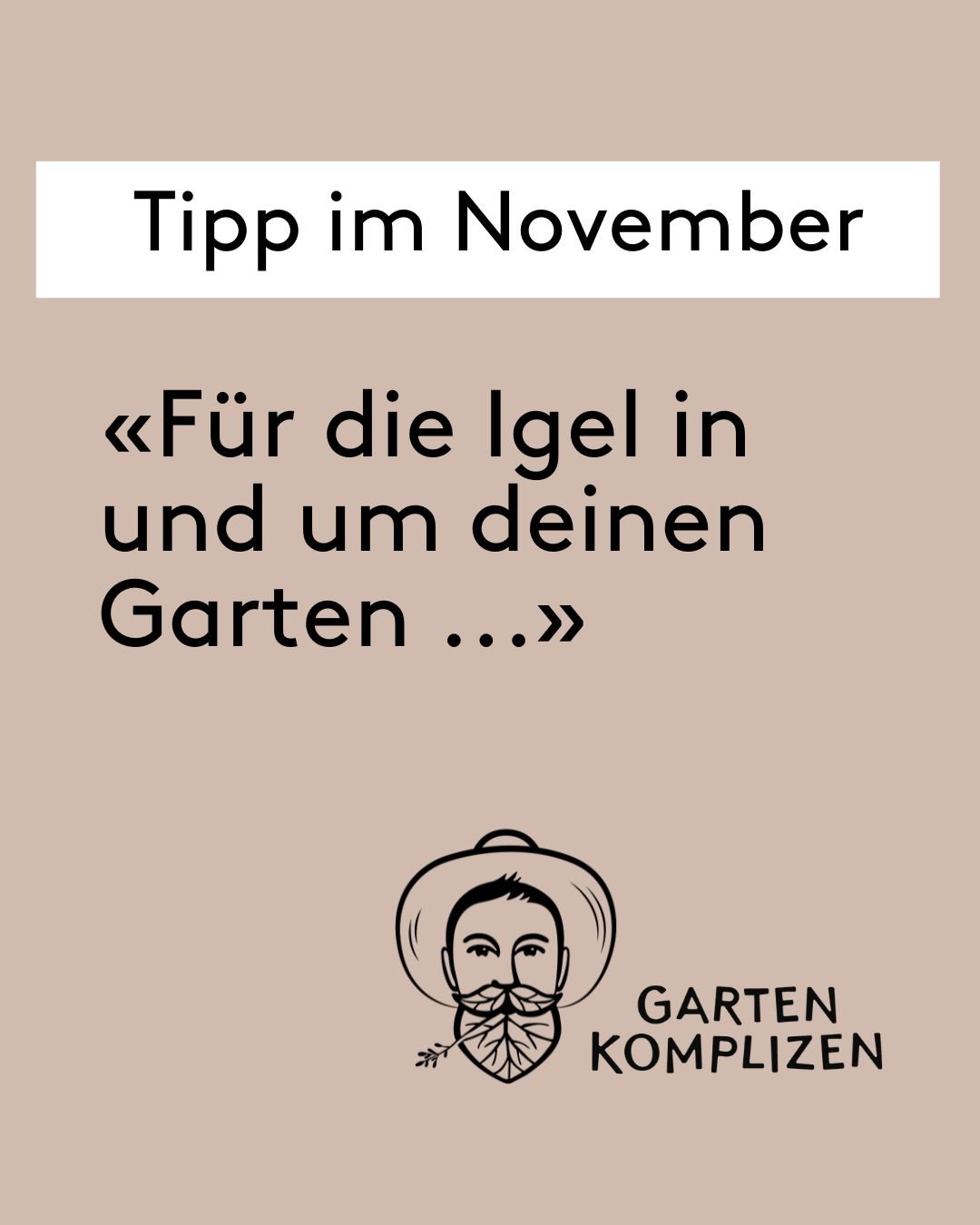 Beim Neubau eines Zaunes kannst du darauf achten, dass der Zaun erst 10 cm &uuml;ber dem Boden beginnt oder an geeigneten Stellen eine L&uuml;cke aufweist. 
Denn Igel sind sehr Durchgangstreu, das heisst, sie benutzen dieselben Wege wieder und wieder
