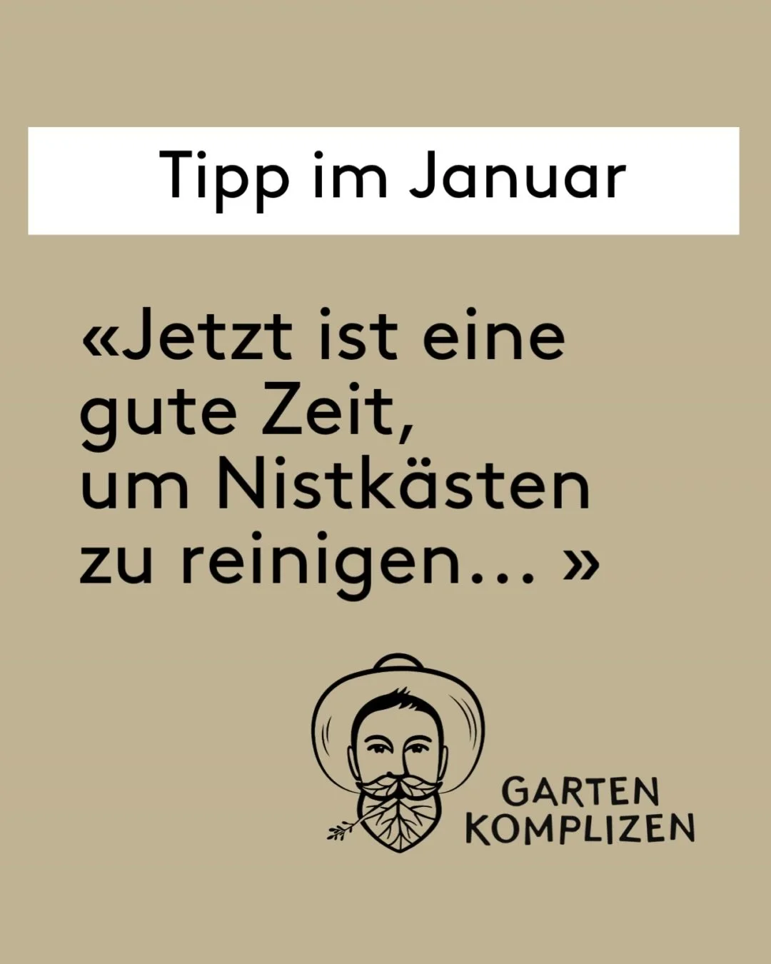 Im Januar st&ouml;rst du beim Reinigen von Vogelnistk&auml;sten🐦 kaum noch jemanden, denn manchmal kann es vorkommen, dass sich Wespen oder Hornissen in den K&auml;sten eingenistet haben - was beim zu fr&uuml;hen S&auml;ubern unangenehm werden kann.