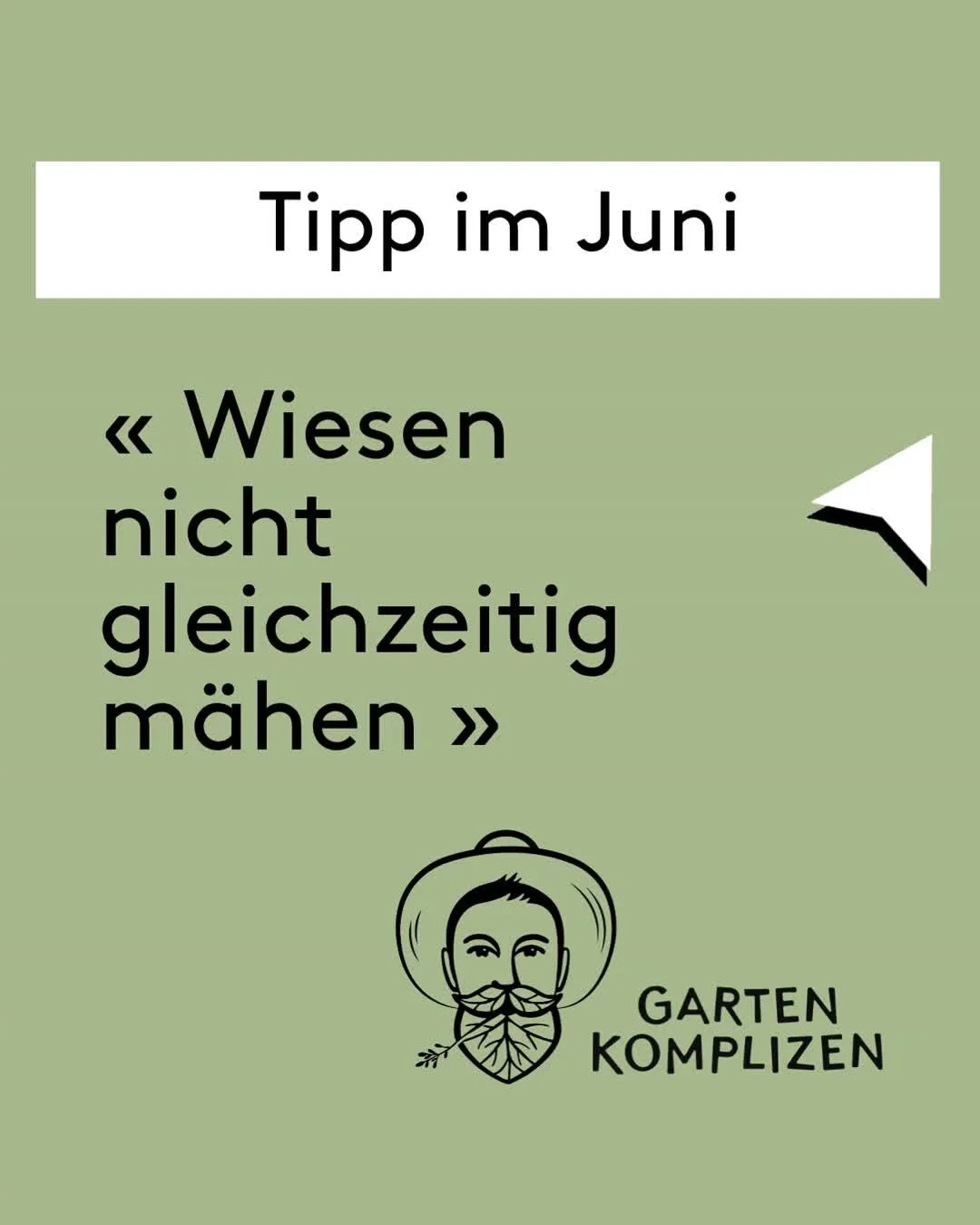 🌼🐝 Wiesen zeitversetzt m&auml;hen
M&auml;he deine Wiese m&ouml;glichst nicht gleichzeitig mit der ganzen Nachbarschaft. Rund um den 23. Juni werden vielerorts grosse Fl&auml;chen gem&auml;ht &ndash; f&uuml;r viele Insekten bedeutet das pl&ouml;tzli