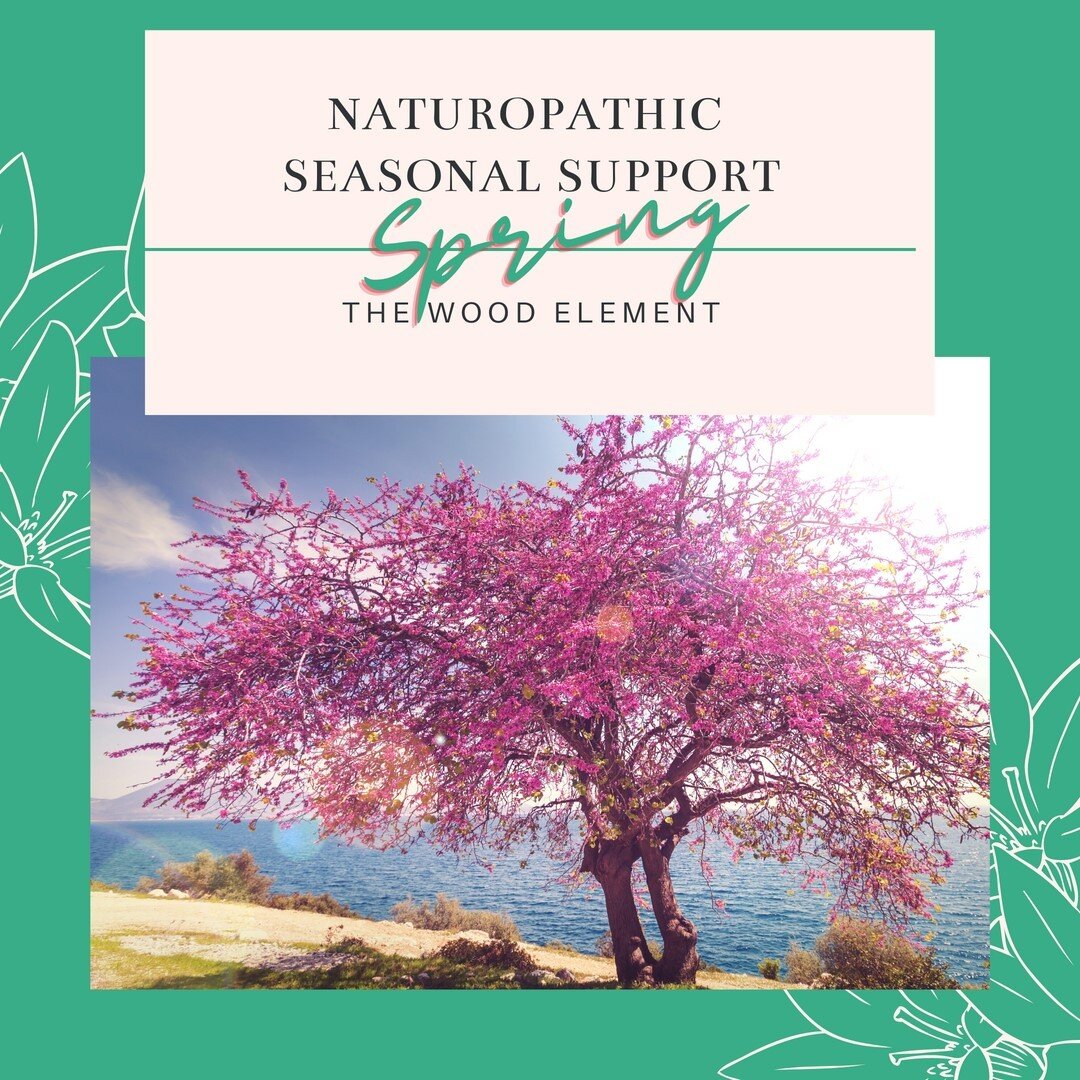 Spring hope is really in the air. Are you feeling the shift? I am certainly ready for it and I am sure you are too. So how can the spring season affect our health? In #traditionalchinesemedicine #TCM we will come into the Wood Element on the 21st Mar