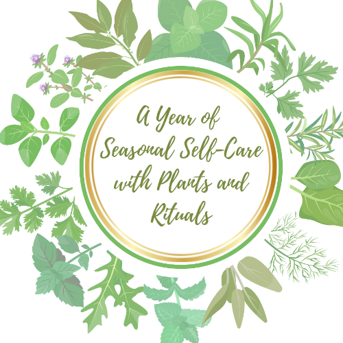 A Year of Seasonal Self-Care with Plants and Rituals
