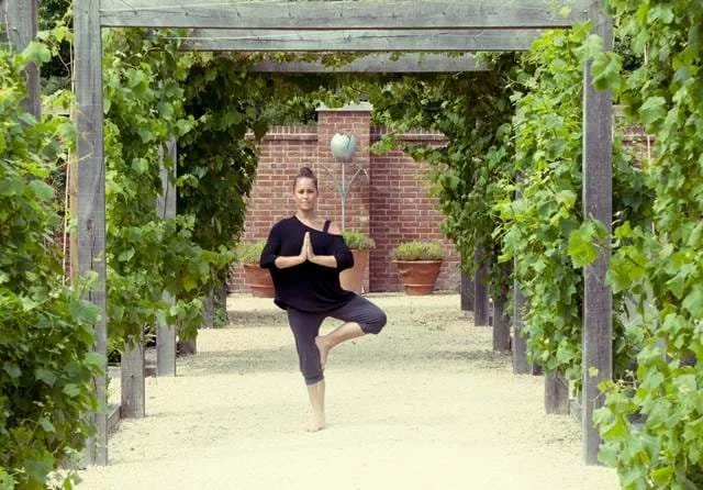 health workshop, herbal tinctures, seasonal health