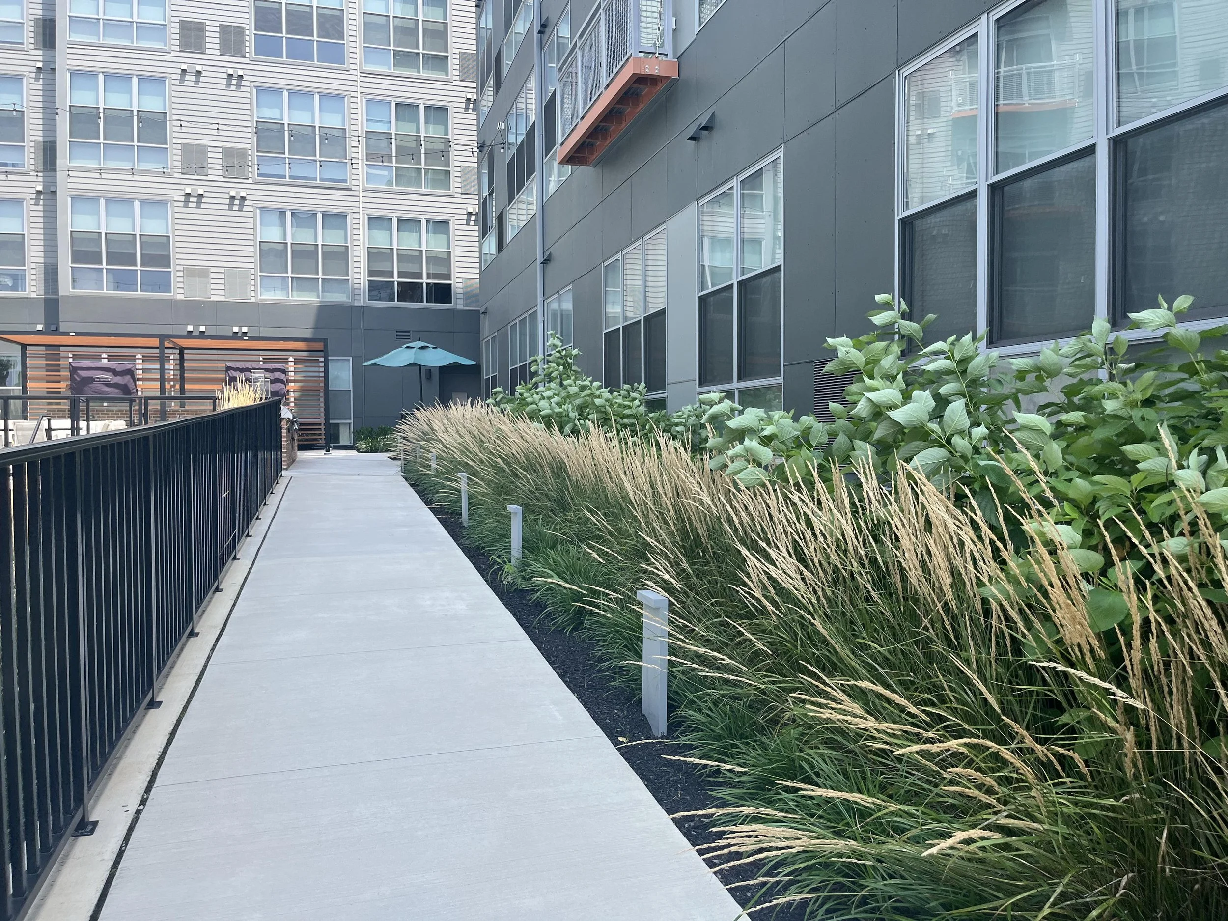 Copy of IMG_0628.jpg