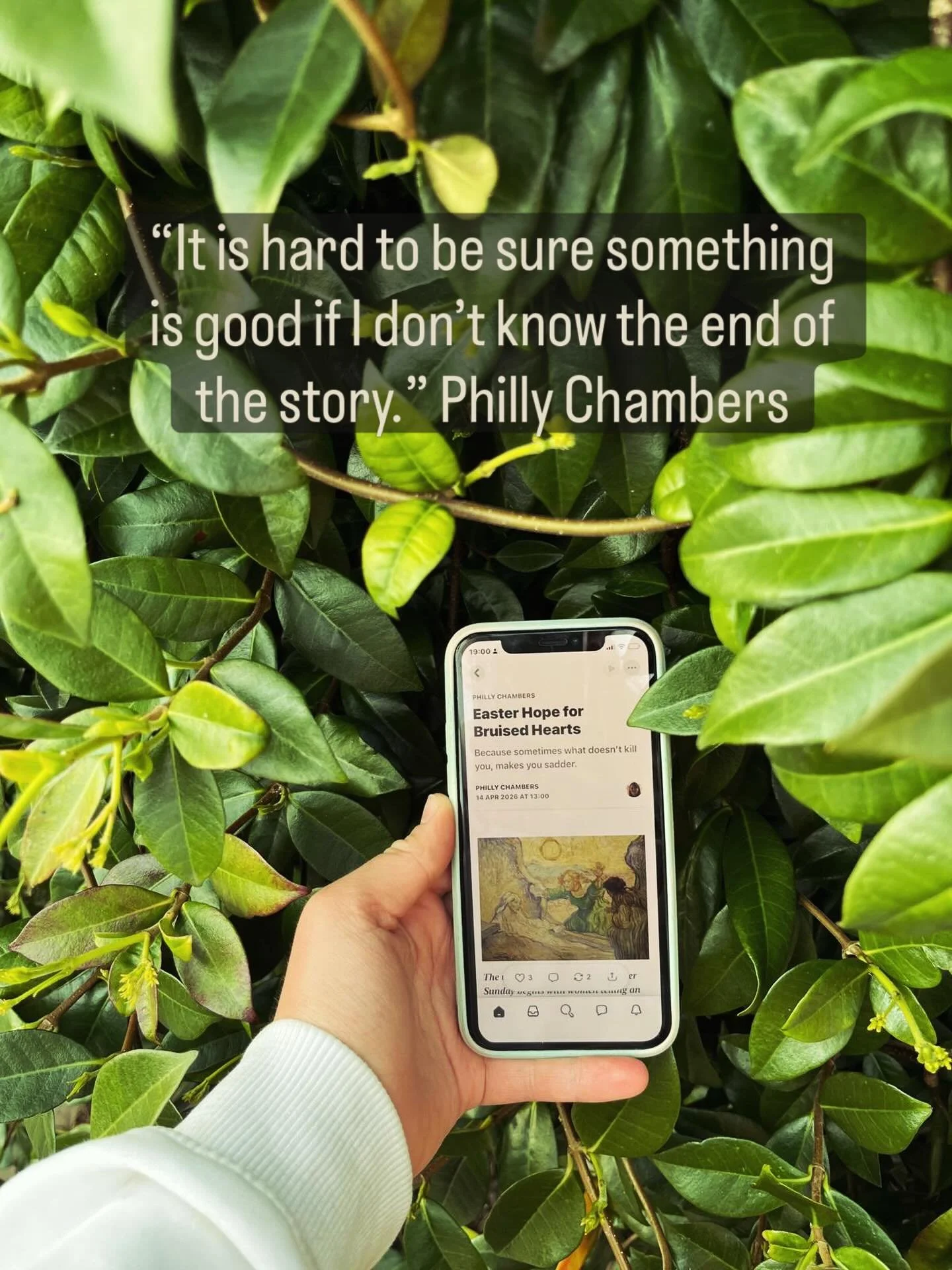 We loved meeting Philly at our Writing Greenhouse and now seeing her writing on a brand new Substack for you to follow! 

Read Hope for Bruised hearts #linkinstories

https://open.substack.com/pub/calmanddistressed/p/easter-hope-for-bruised-hearts?se