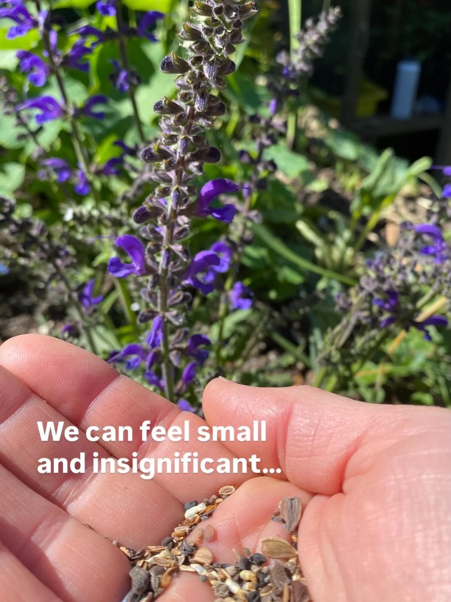We can feel small and insignificant&hellip;Yet from small beginnings Gods kingdom grows.