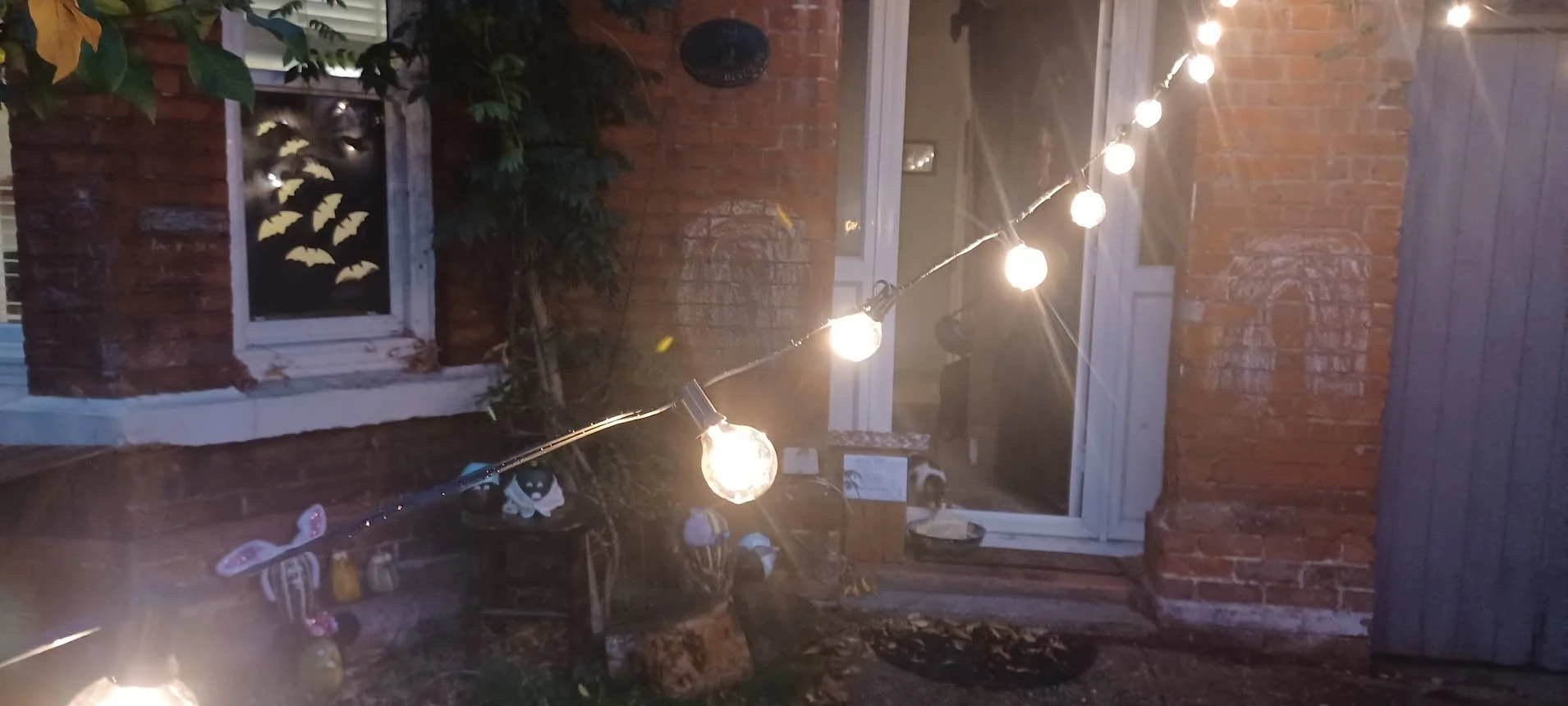20221031_164613.jpg