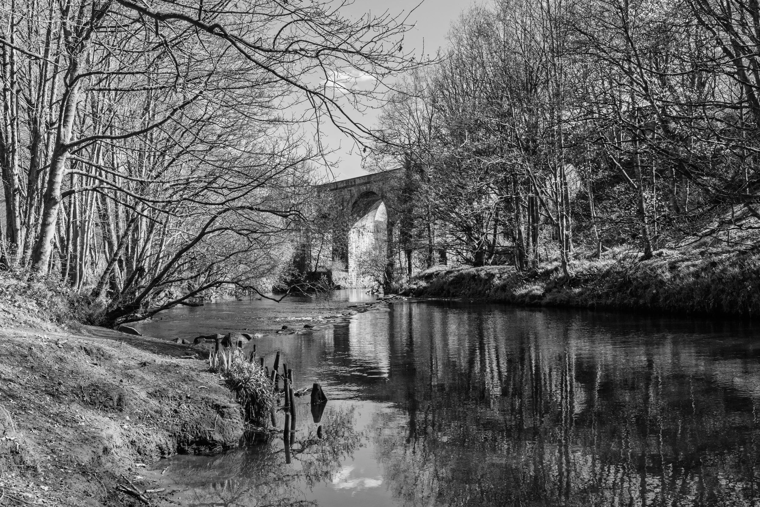 Copley Viaduct #1, April 2026