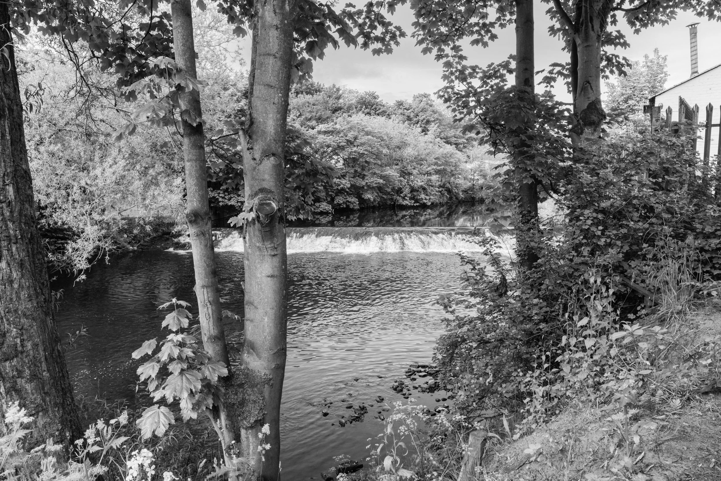 Sowerby Bridge #5, June 2021