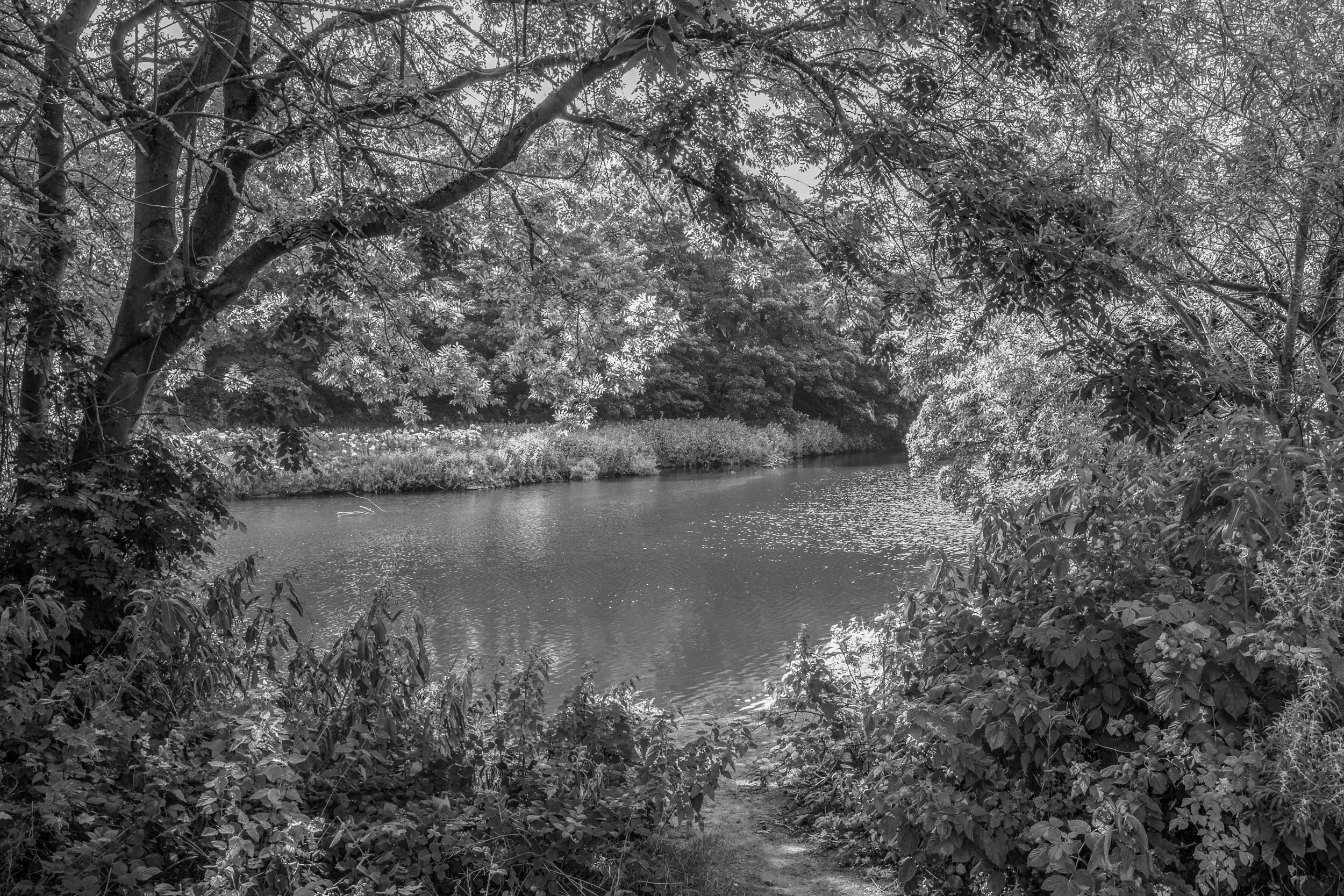 Brookfoot #1, August 2020