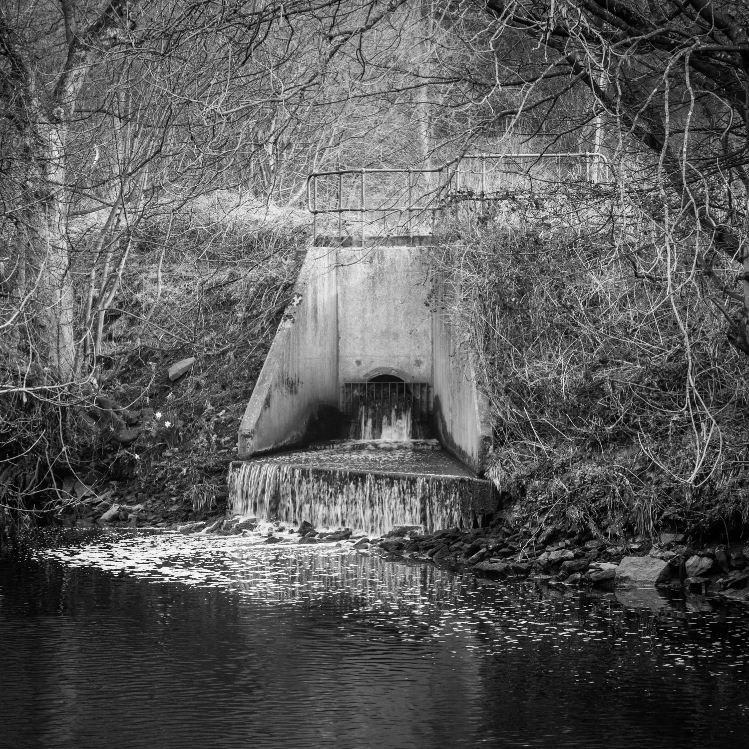 High Royd Water Treatment Works,
Sowerby Bridge, March 2025