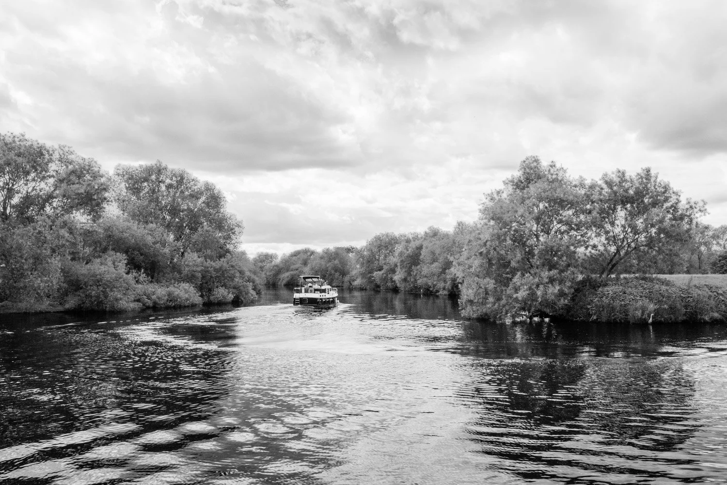 Confluence with the Aire, May 2022
