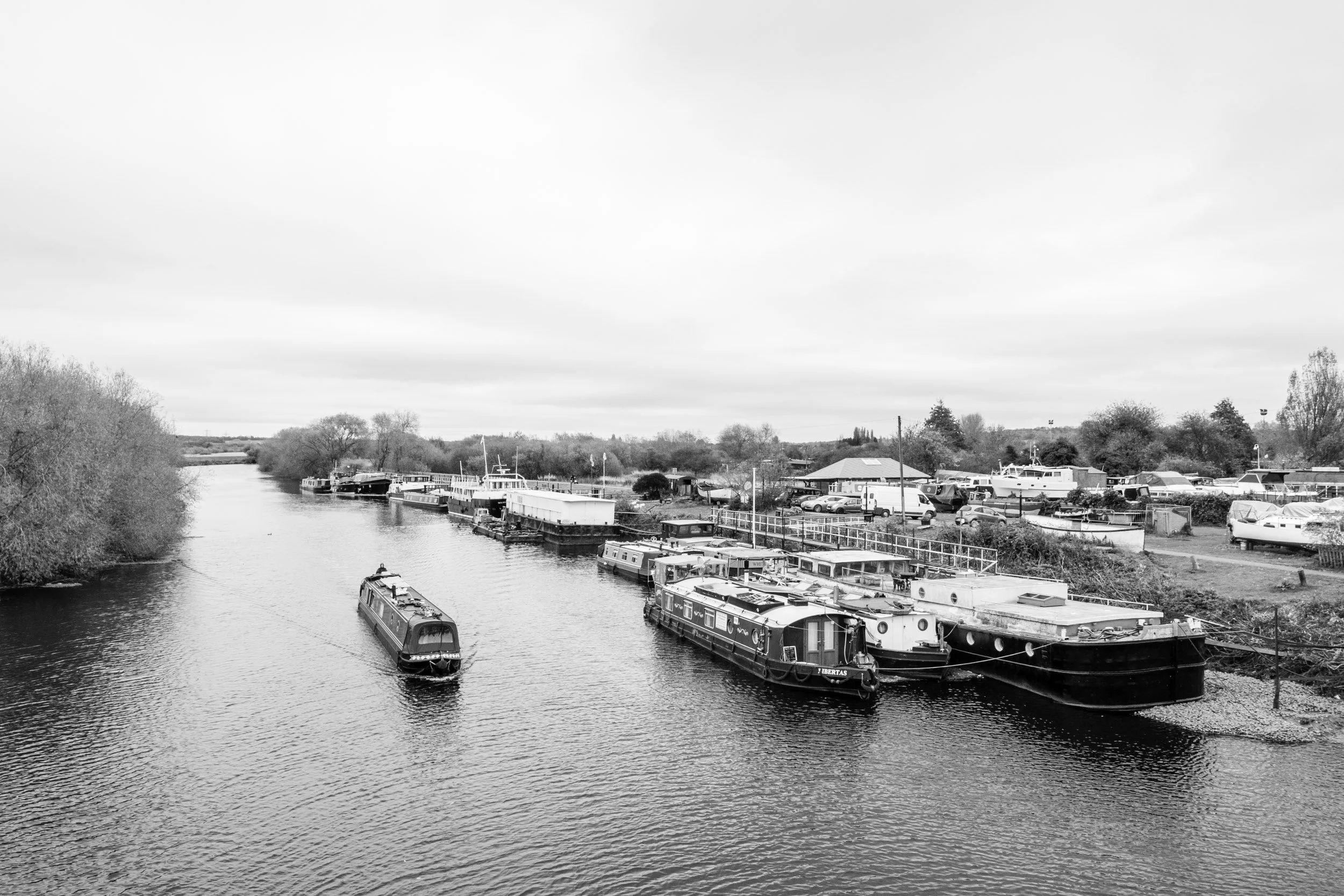 _A317523.jpg