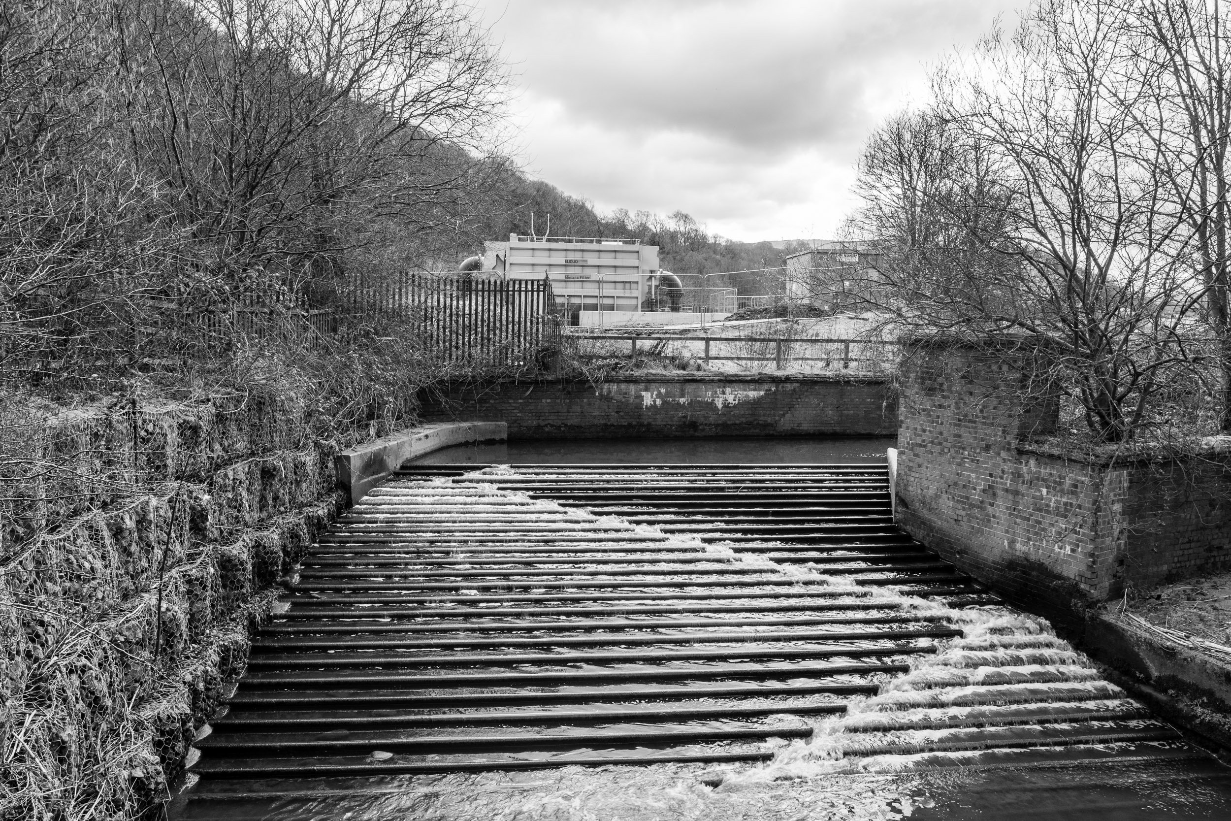 Eastwood Weir and Fish Pass, March 2025