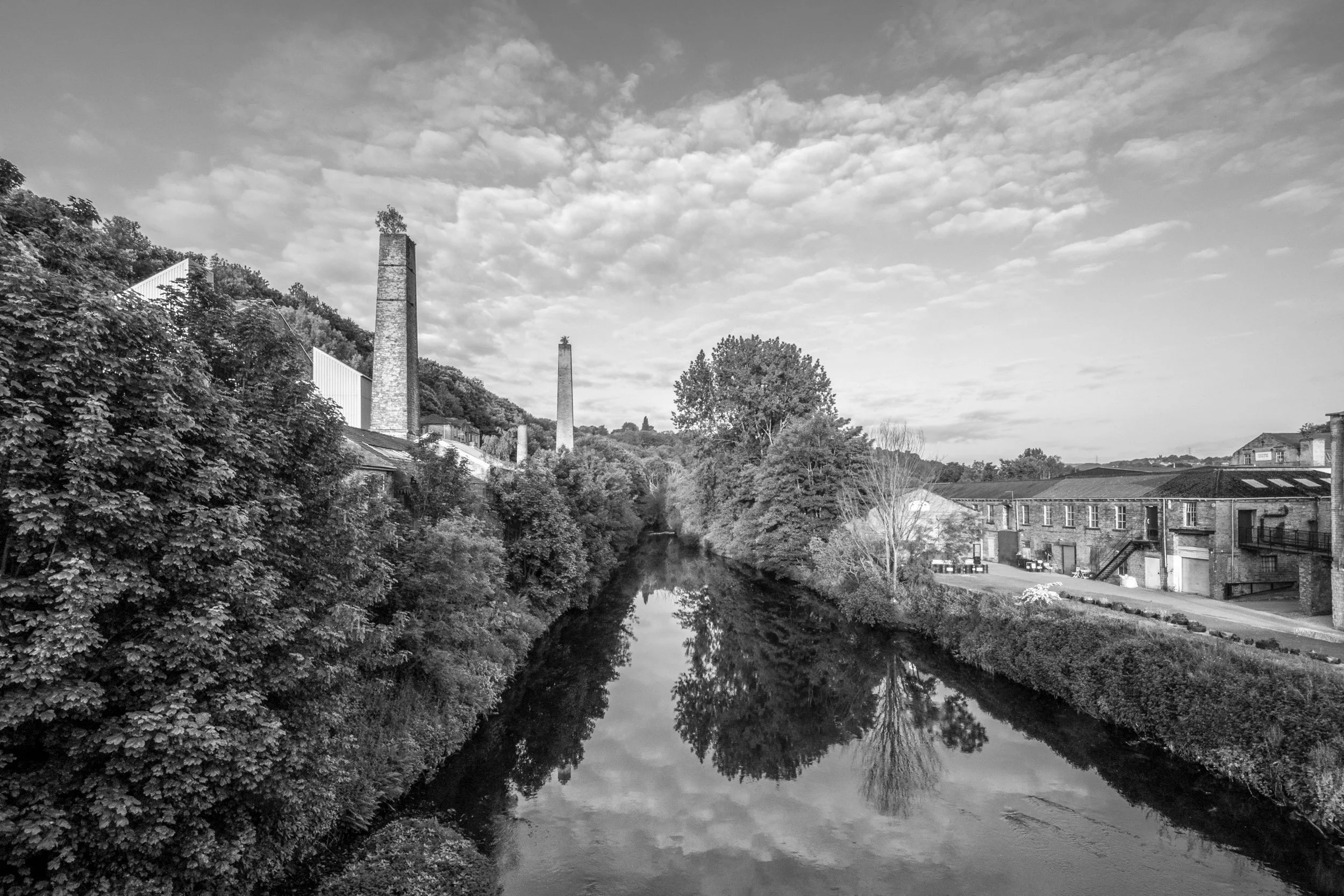 _5251552_6x4_B+W.jpg