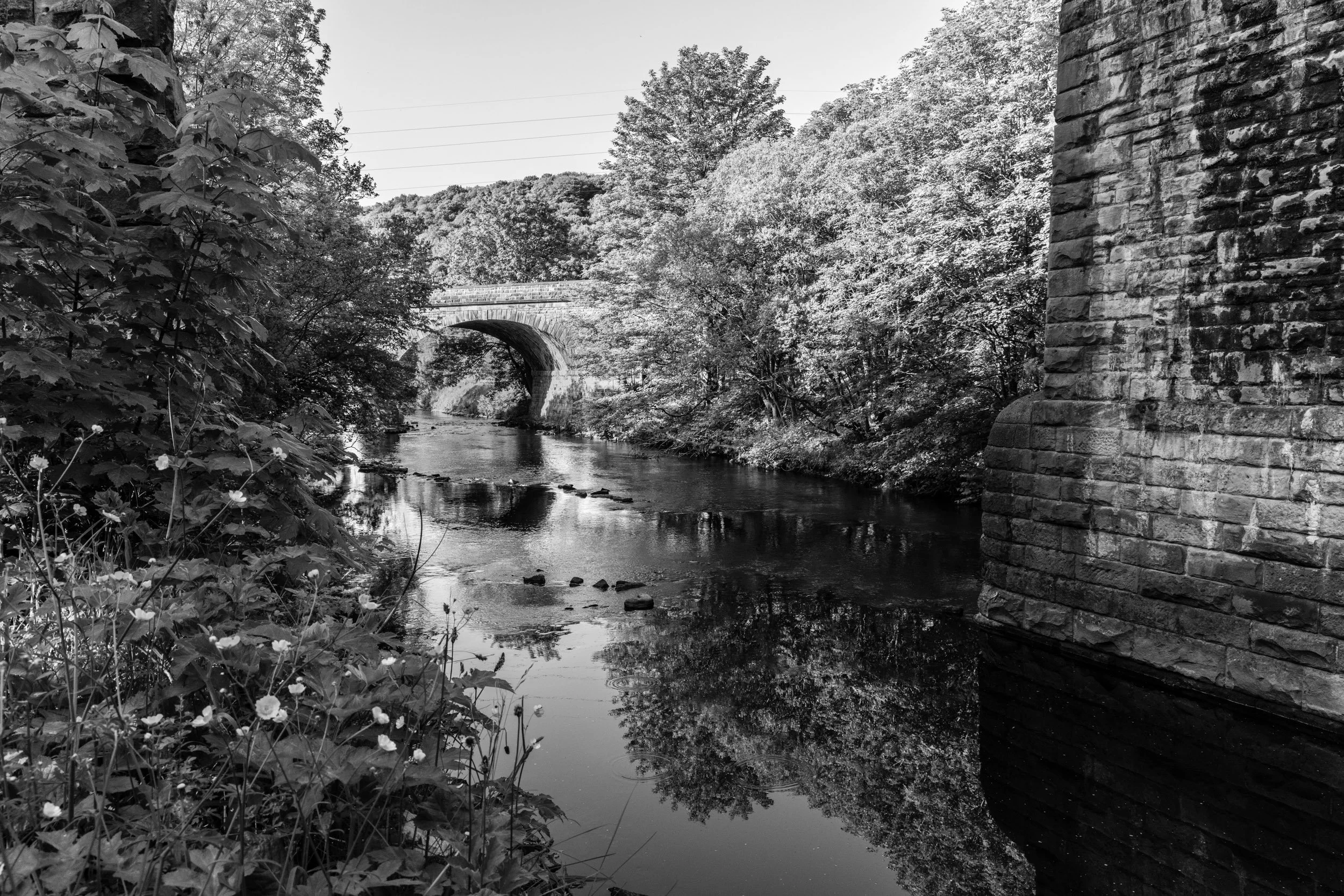 Copley Viaduct #2, June 2021
