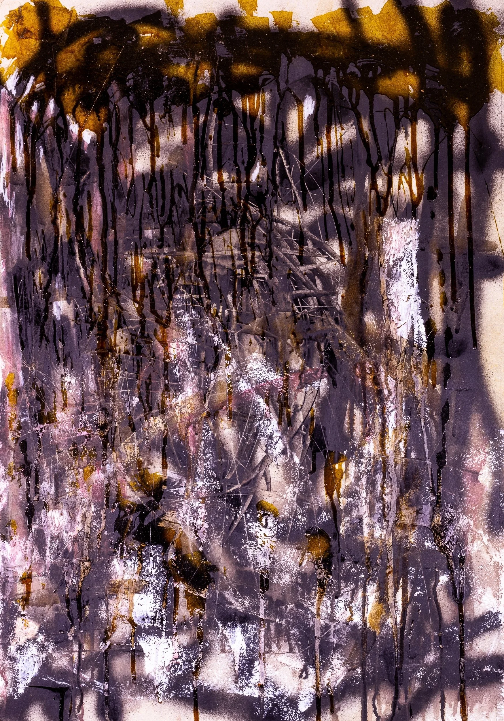 Cubierta DE AMBULAR.jpg