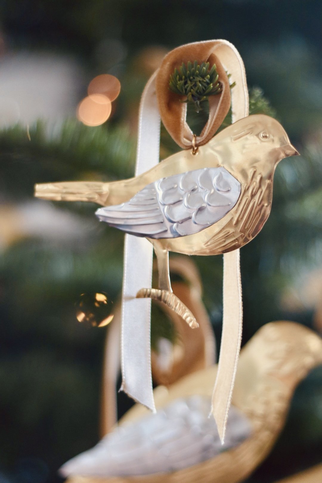 Calling Bird (Robin)