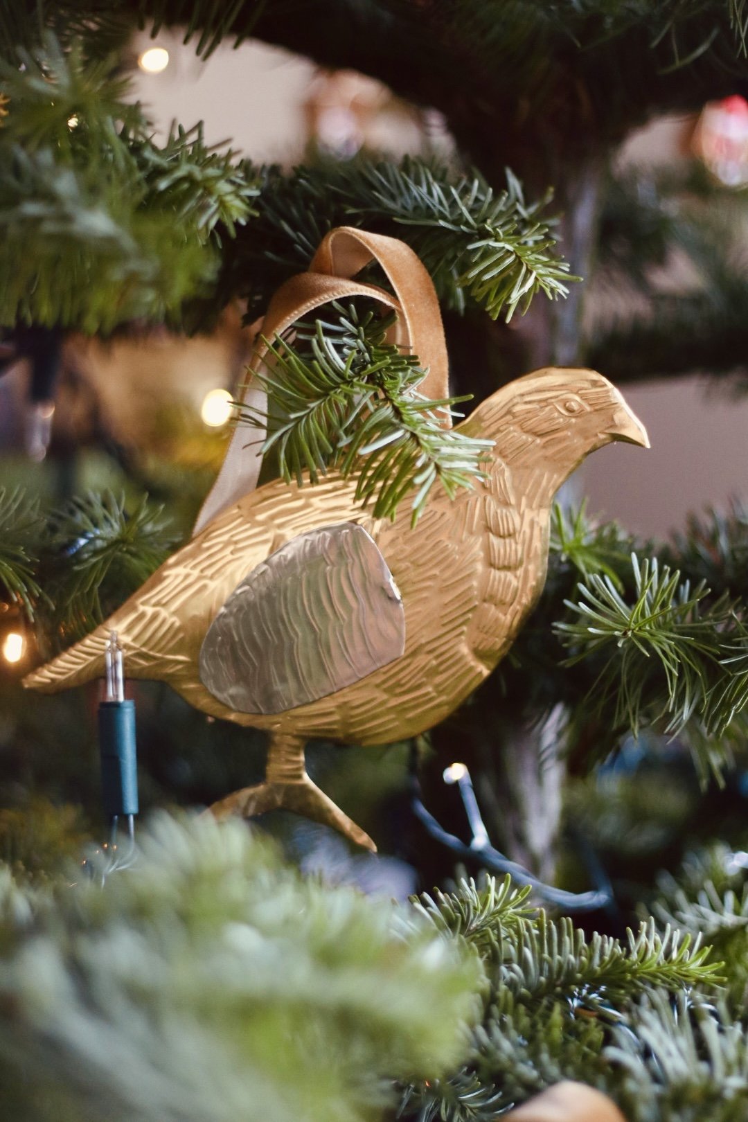 Partridge in a Pear Tree