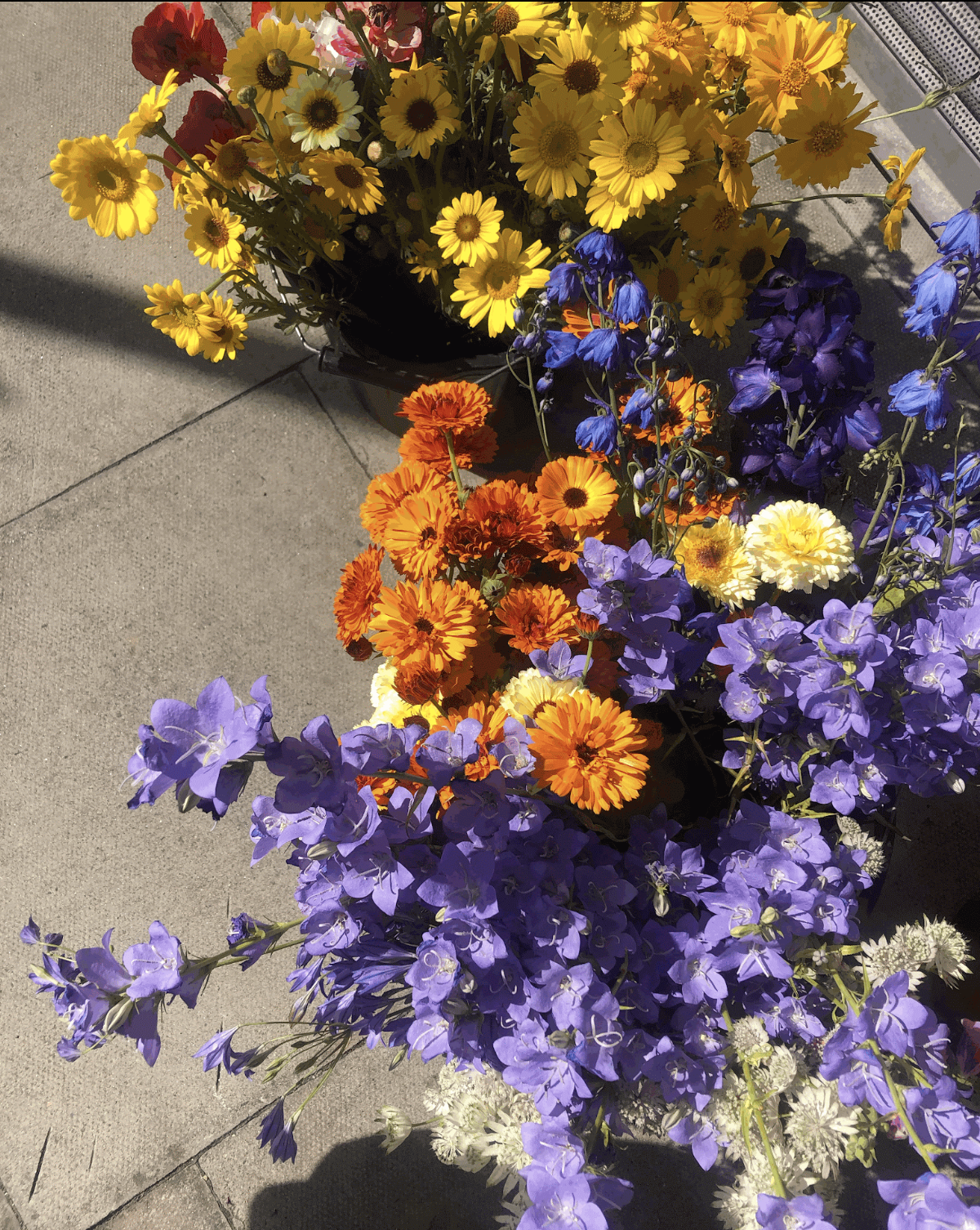 Screenshot 2026-02-03 at 11.11.39.png