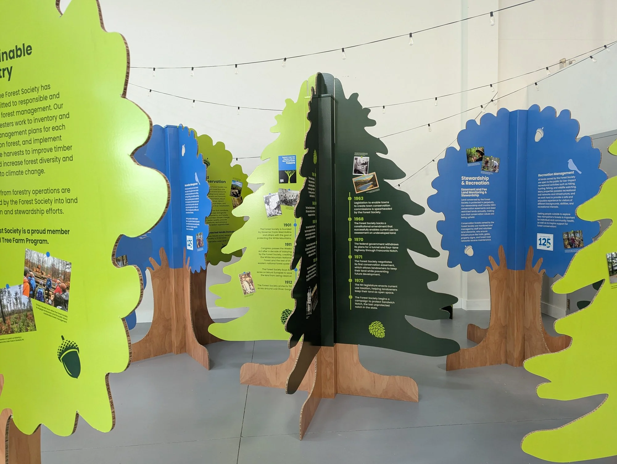 From Freestanders to Forests: Custom Event Displays Built for Immersive Storytelling
