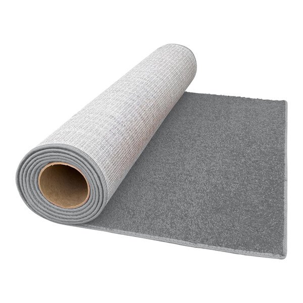 Gray Carpet.jpeg