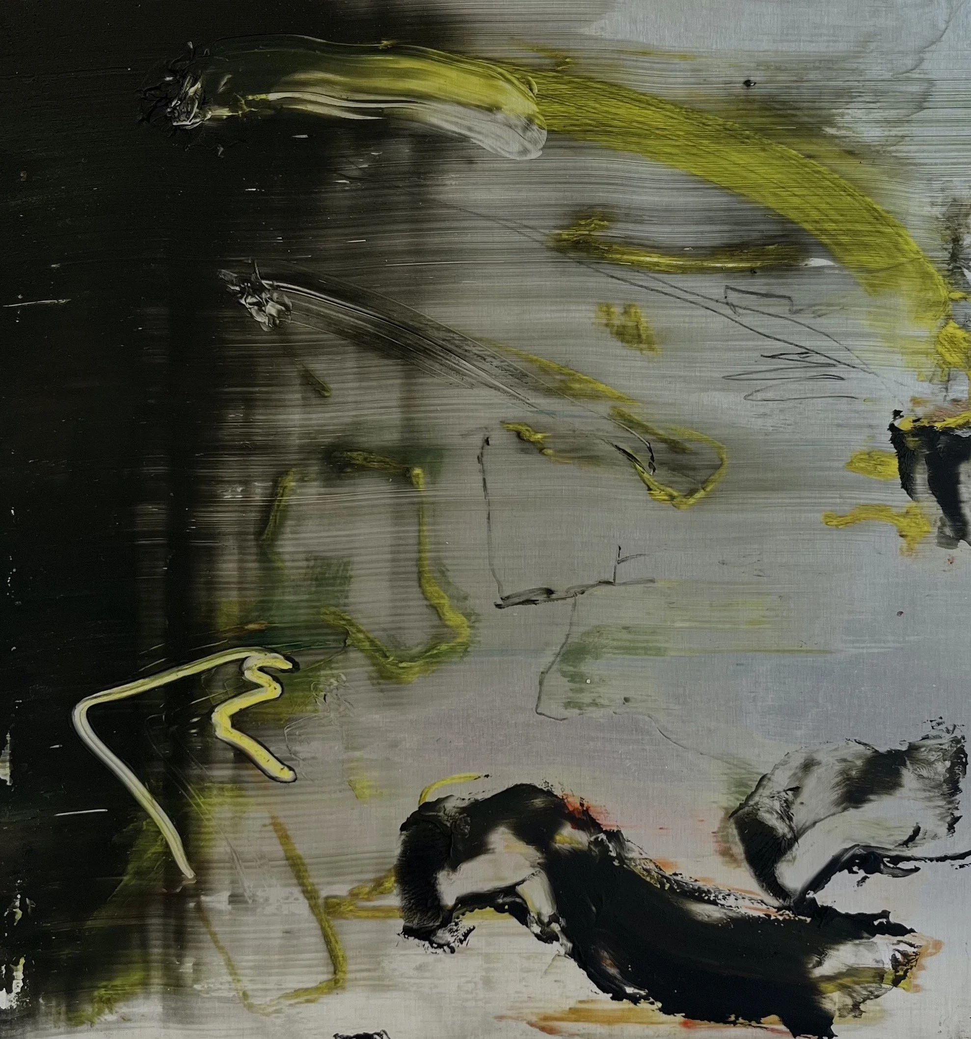 the unquiet landscape - exhibition