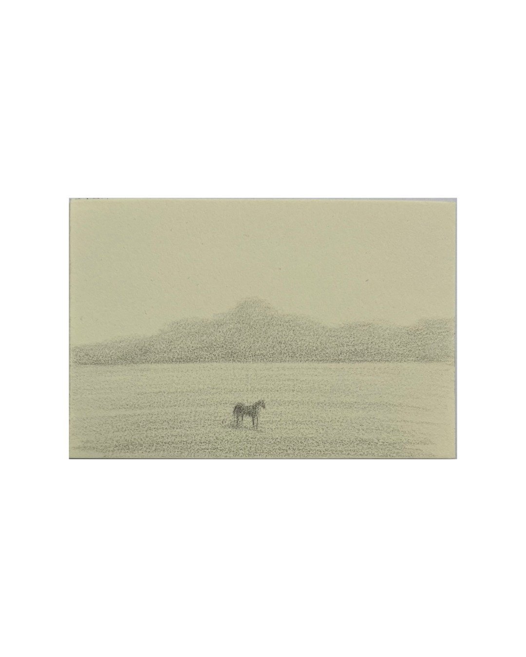 @piers_inkpen Omen, 2023, graphite on paper, 6.5 x 9.5cm #piersinkpen