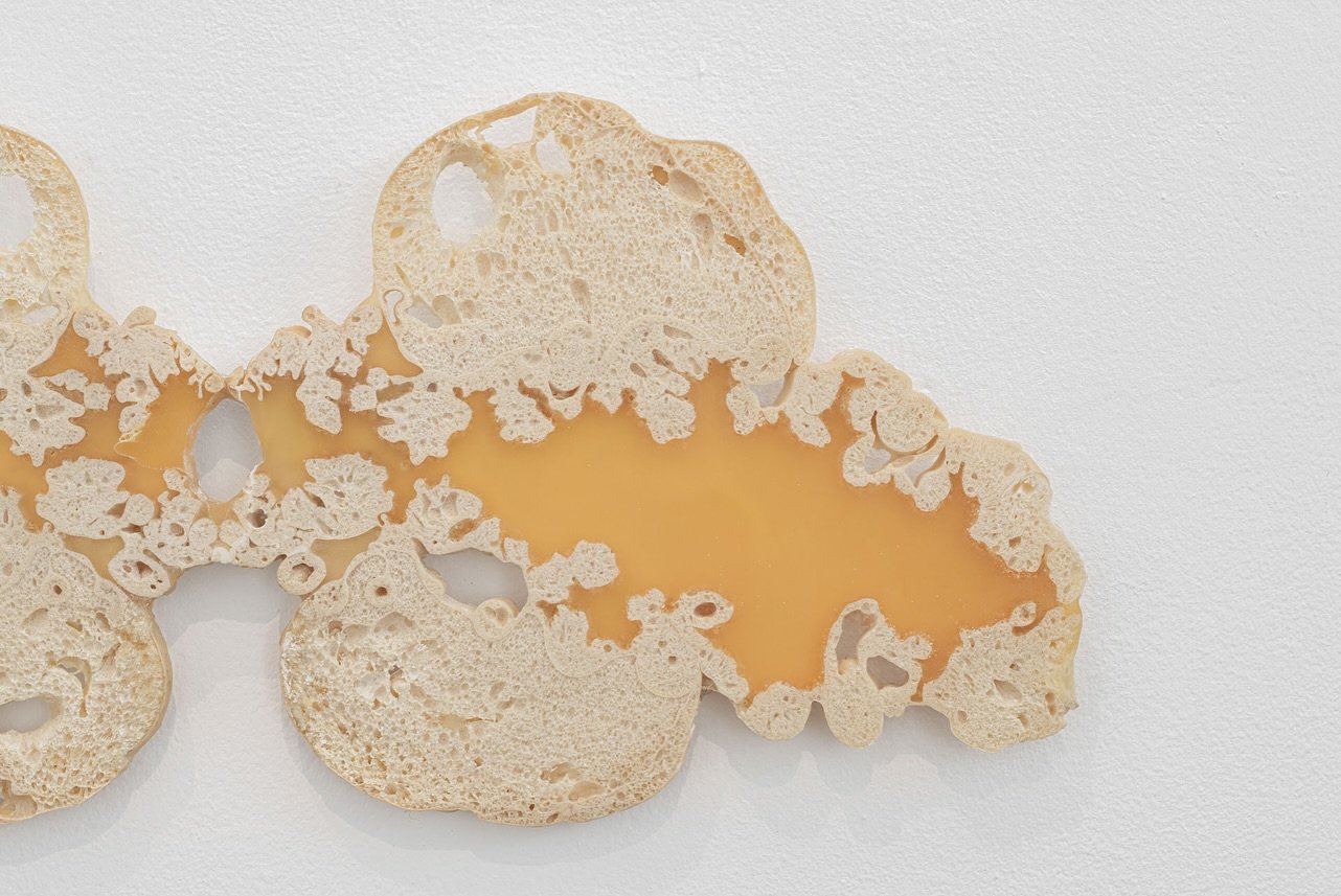 @alex.c.errington ECHOES IN THE FOAM, Pelvis, 2025, PU foam, PU resin, 50 x 21 x 1cm #alexandraerrington

Those Beginning Notes
29th May - 1st June 2025
𓆇
Thurs - Sat, 11 - 6 pm
Sun, 10 - 3 pm

➻ 39a Loughborough Rd 
London, SW9 7TB 

Message me or 